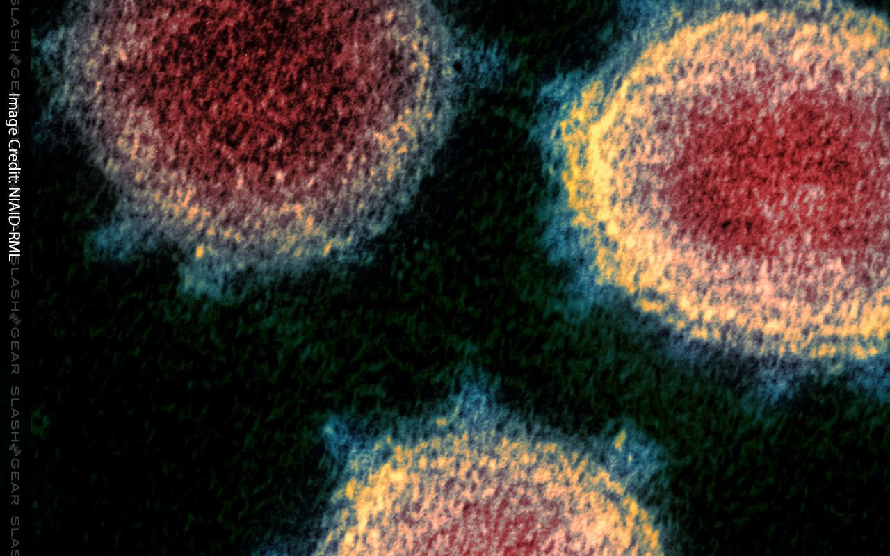 Coronavirus COVID 19 Resources: What Should I Do? Who Do I Trust