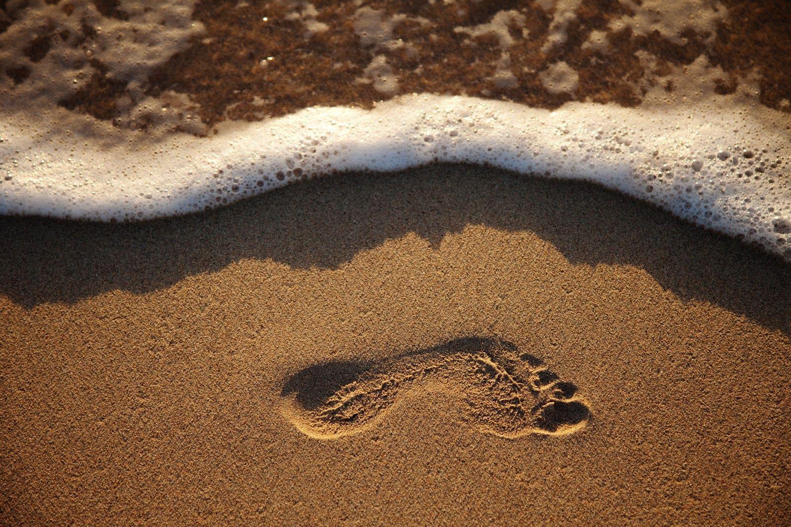 Footprint Wallpaper In The Sand