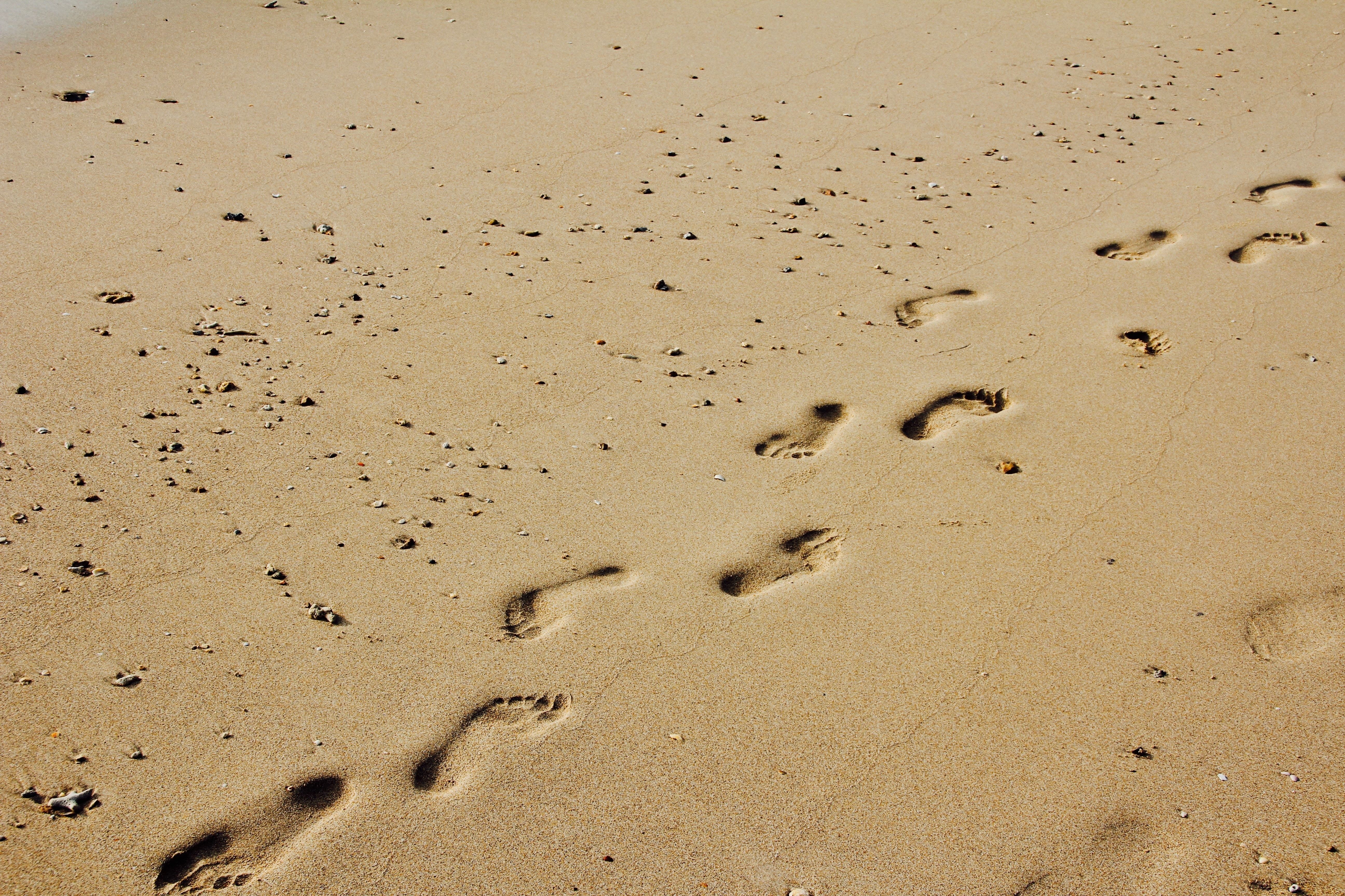 Footprints, Sun, Sand, Paw Print, Footprint With A Good