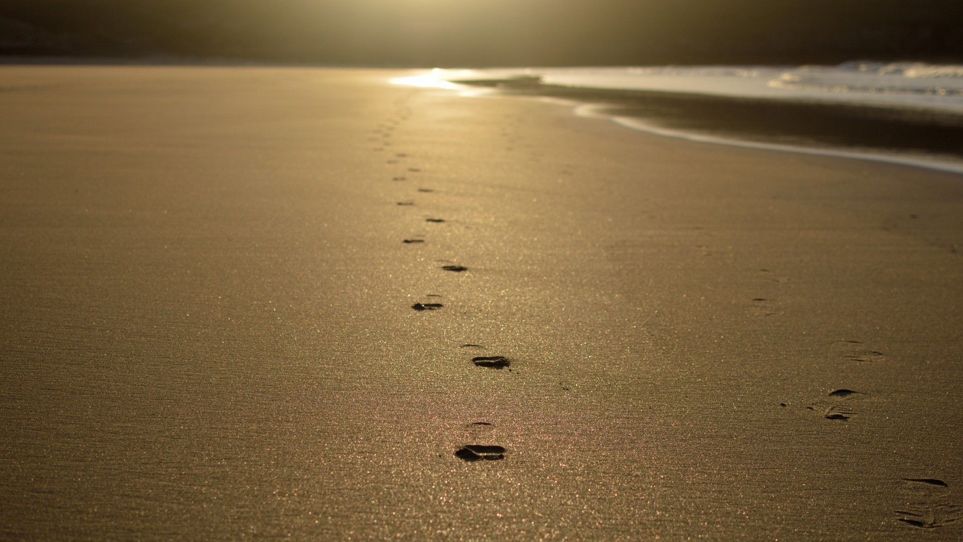 Free photo: Footprints in sand, Sand, Sea