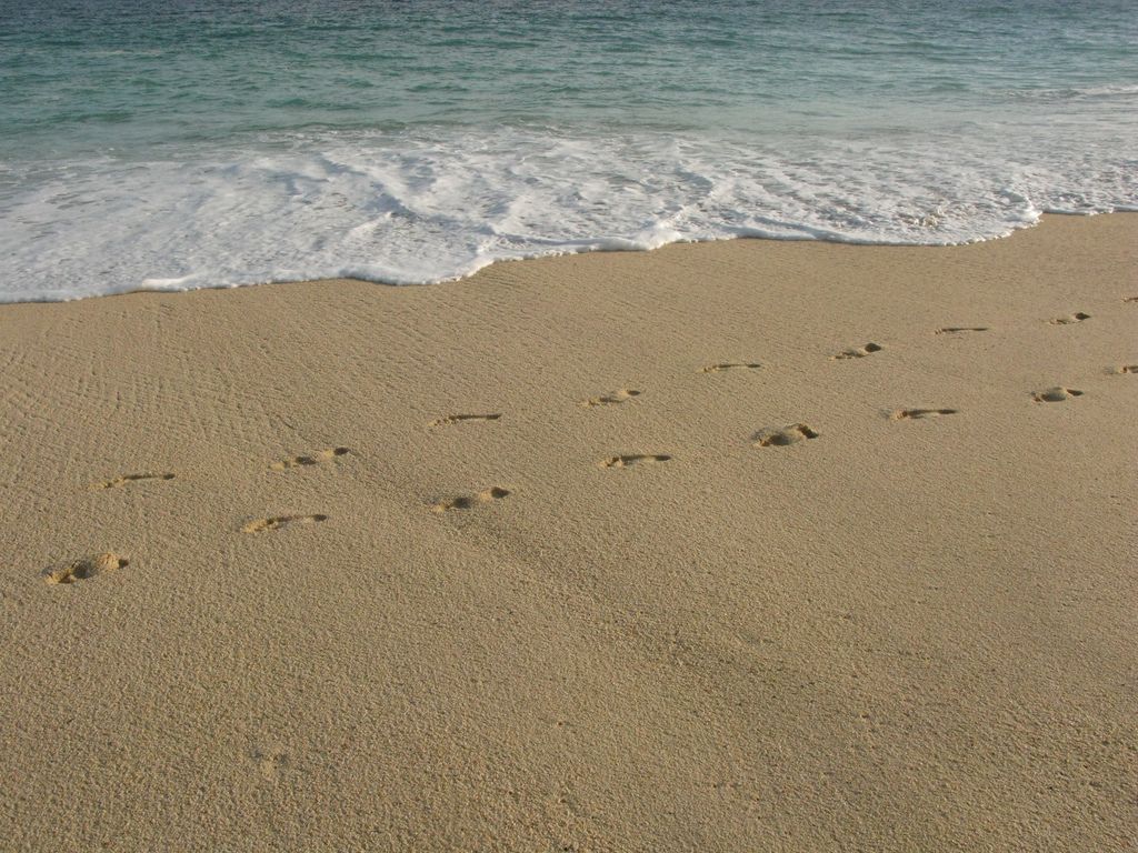 Footprints in the sand, F: album 523.3 kbytes