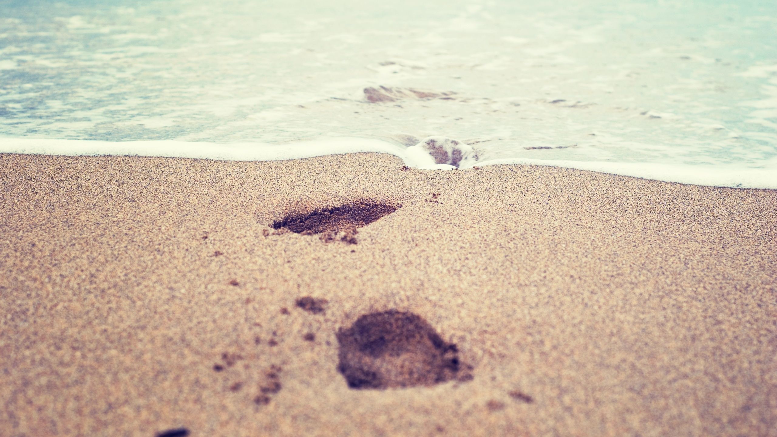 Wallpaper Beach, sea, foams, sands, footprints 2560x1600 HD