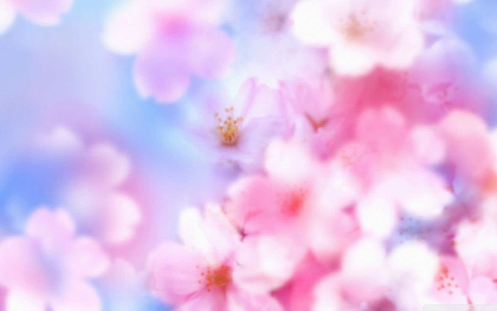 Free download Spring Day 3 4K HD Desktop Wallpaper for 4K Ultra HD