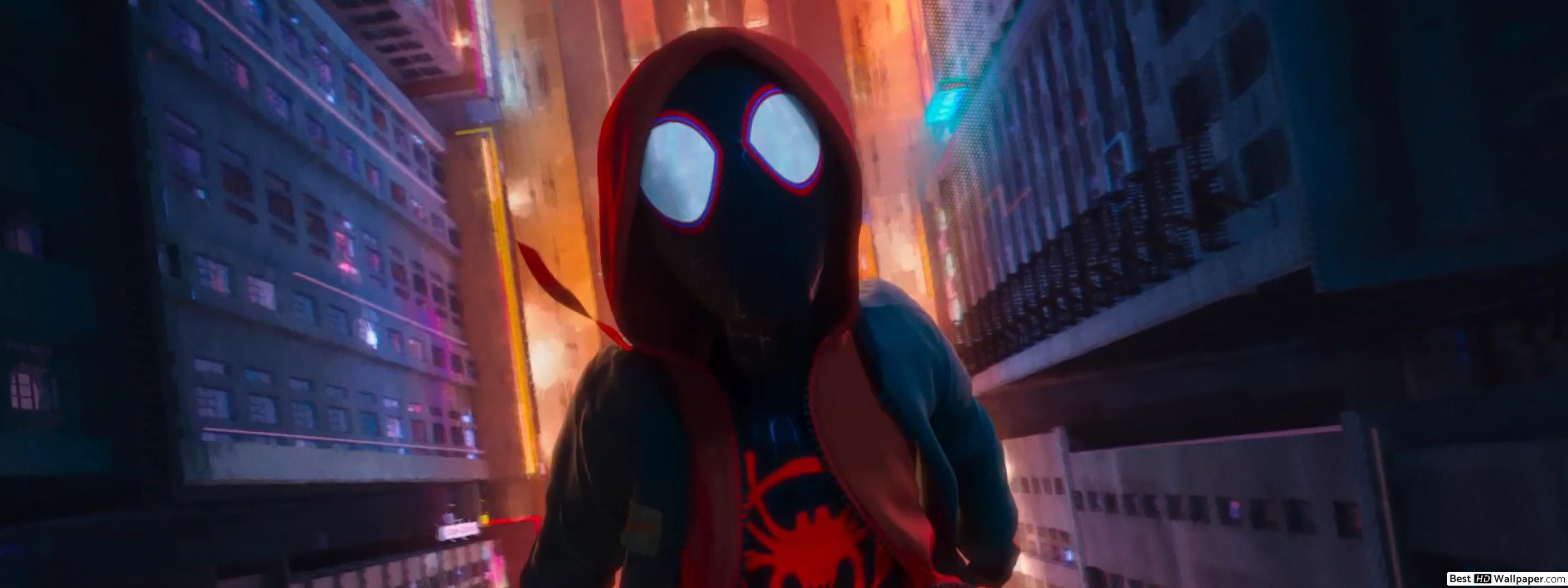 Spider Man: Into The Spider Verse, Miles Morales HD Wallpaper Download