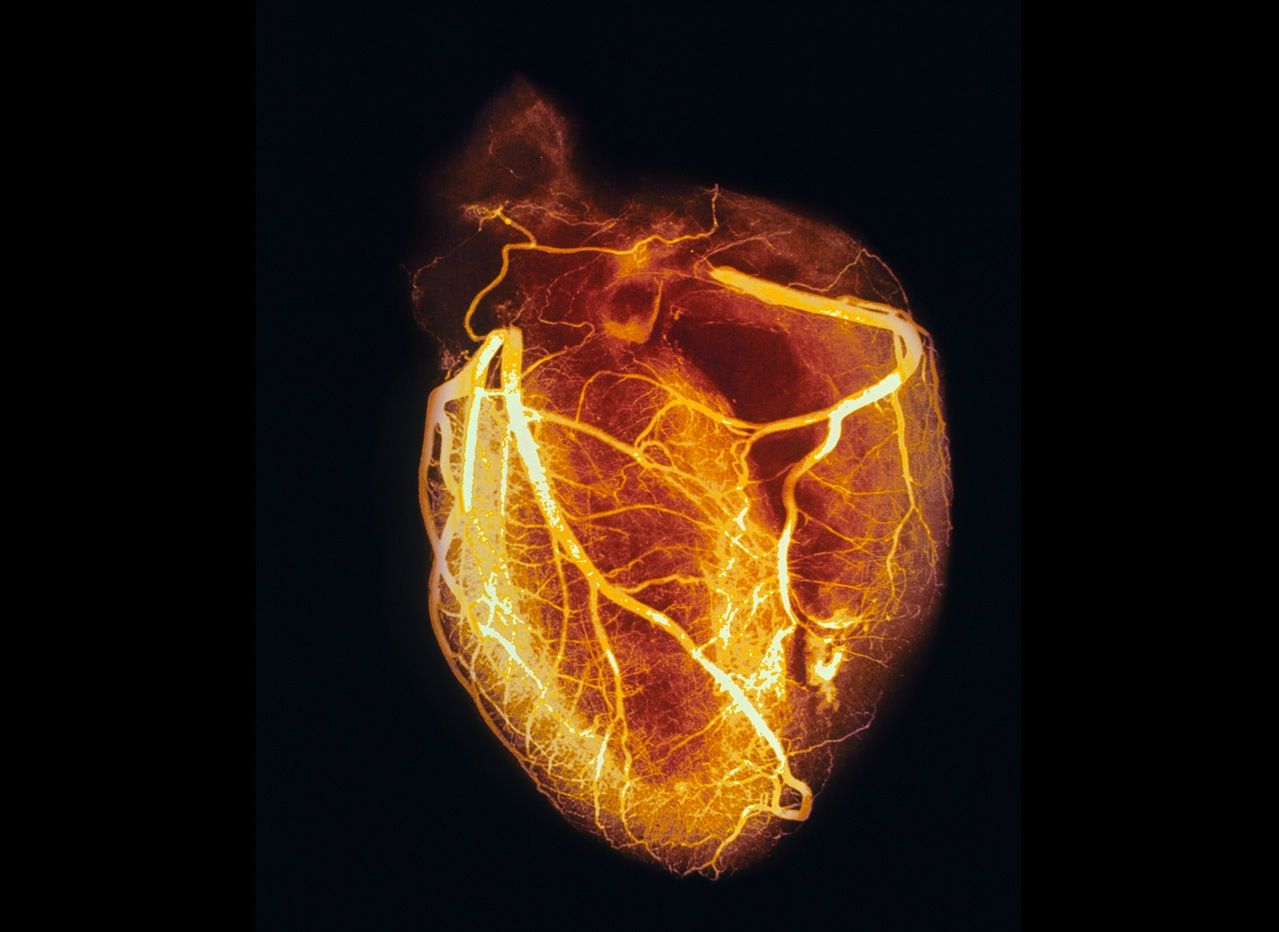 MENYOK ENAK: Human Heart Made of Fire HD Wallpaper