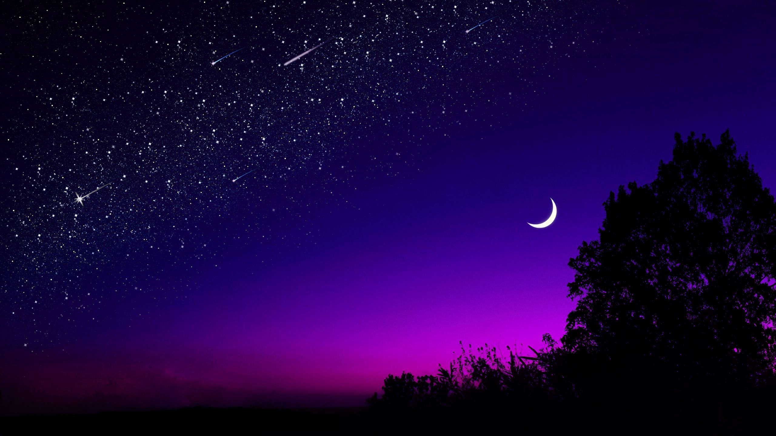 Download wallpaper 2560x1440 moon, tree, starry sky, night, stars, dark widescreen 16:9 HD background