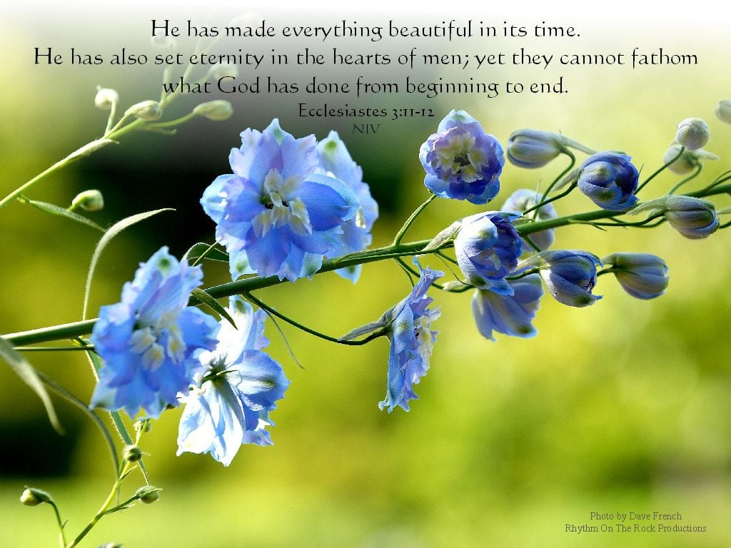 Free download Everything Beautiful Wallpaper Christian Wallpaper