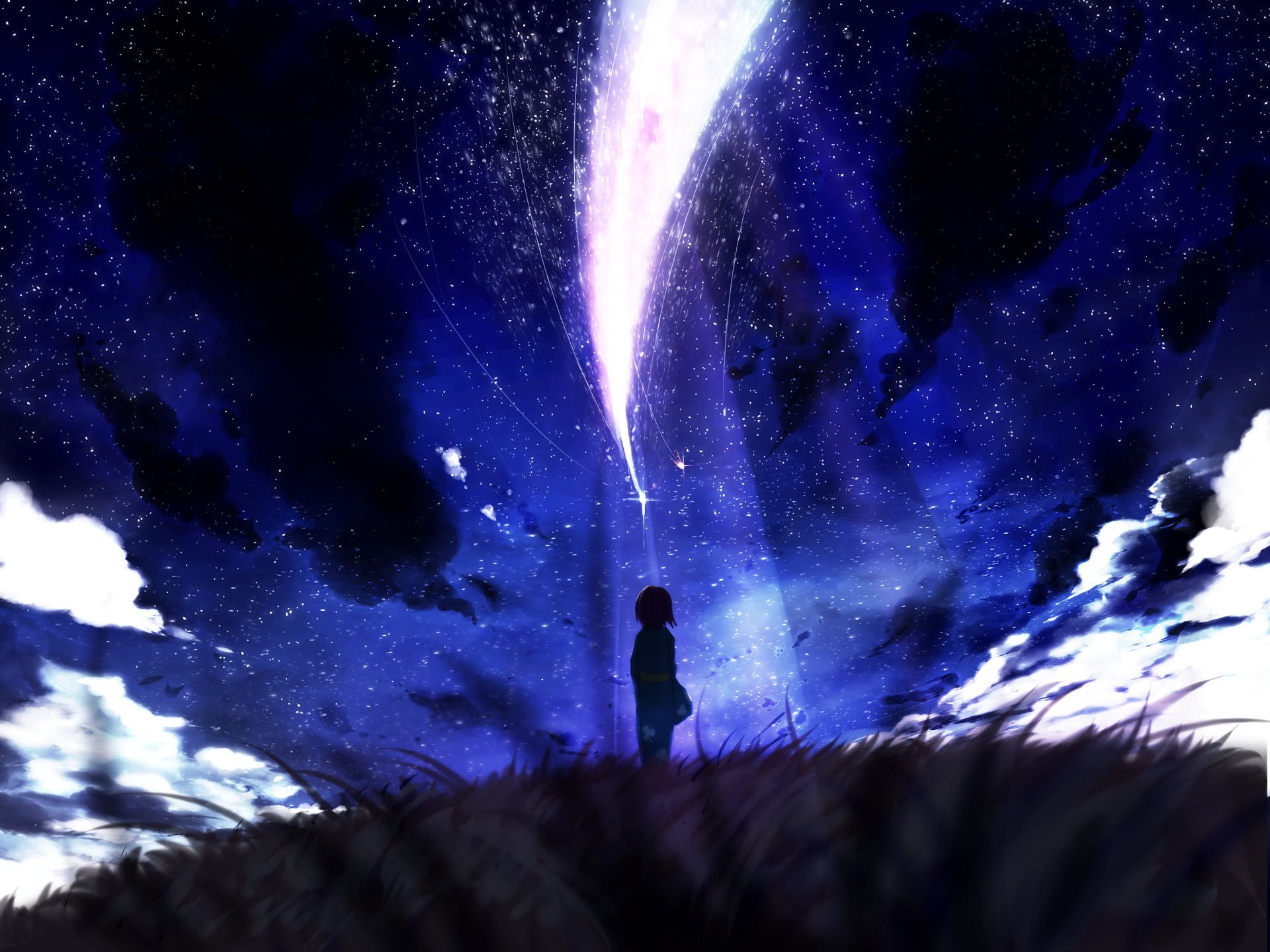 Silhouette of person illustration, Anime, Your Name., Kimi No Na