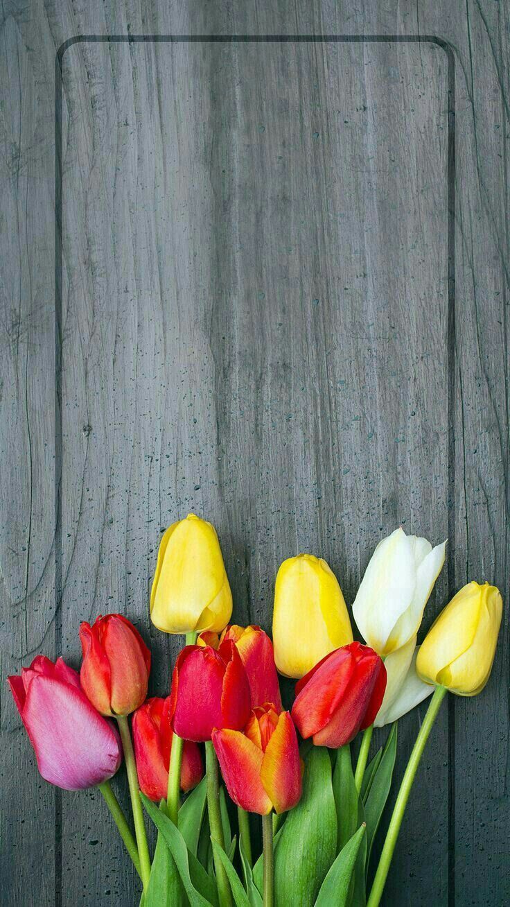 Floral Tulips Wallpaper Vintage Free Stock Photo  Public Domain Pictures