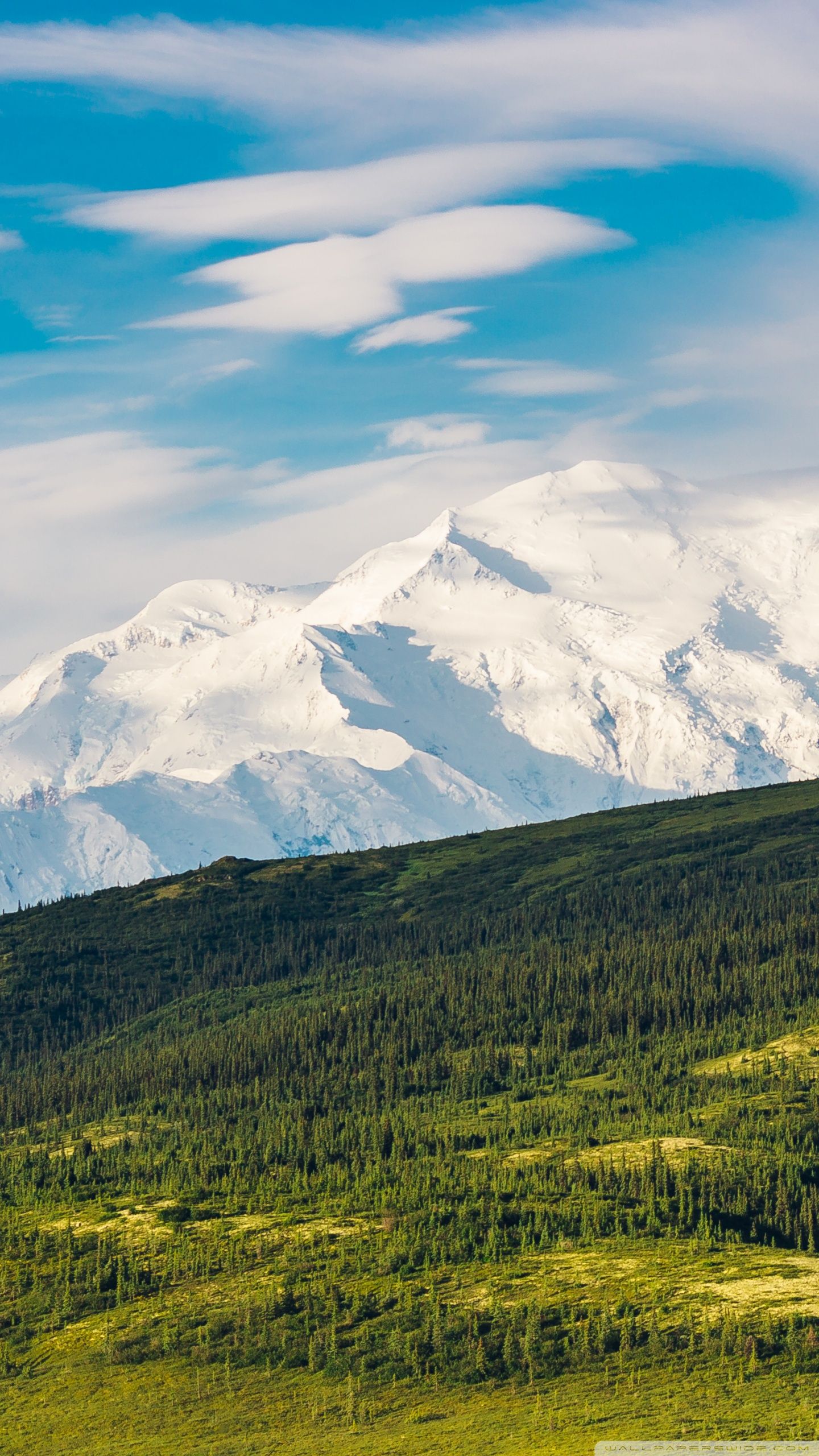 Denali Phone Wallpapers - Wallpaper Cave