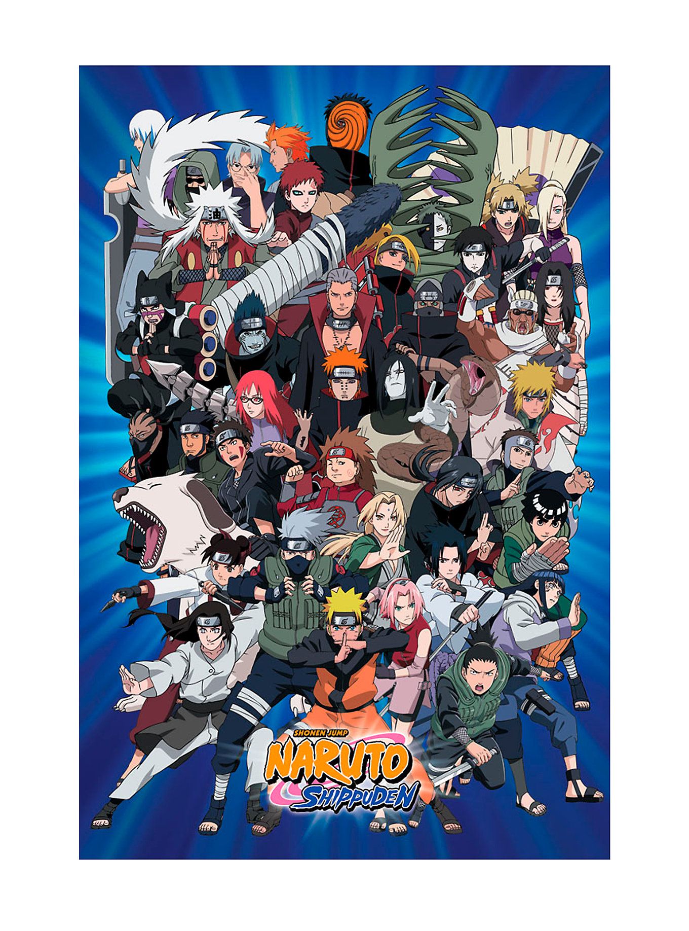 Naruto Shippuden all characters Poster Photo 39649843