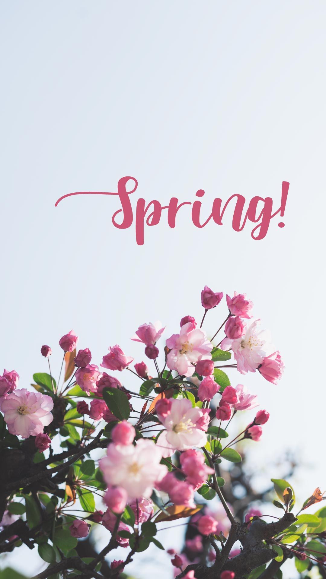 Spring free mobile wallpaper available for iPhone and Android
