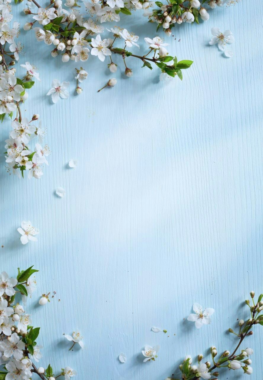 Decoration Boards Spring Background, Phone Background, Background 2019 Wallpaper & Background Download