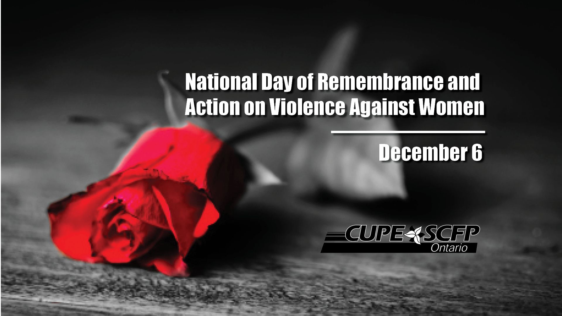 Statement on National Day of Remembrance and Action on Violence
