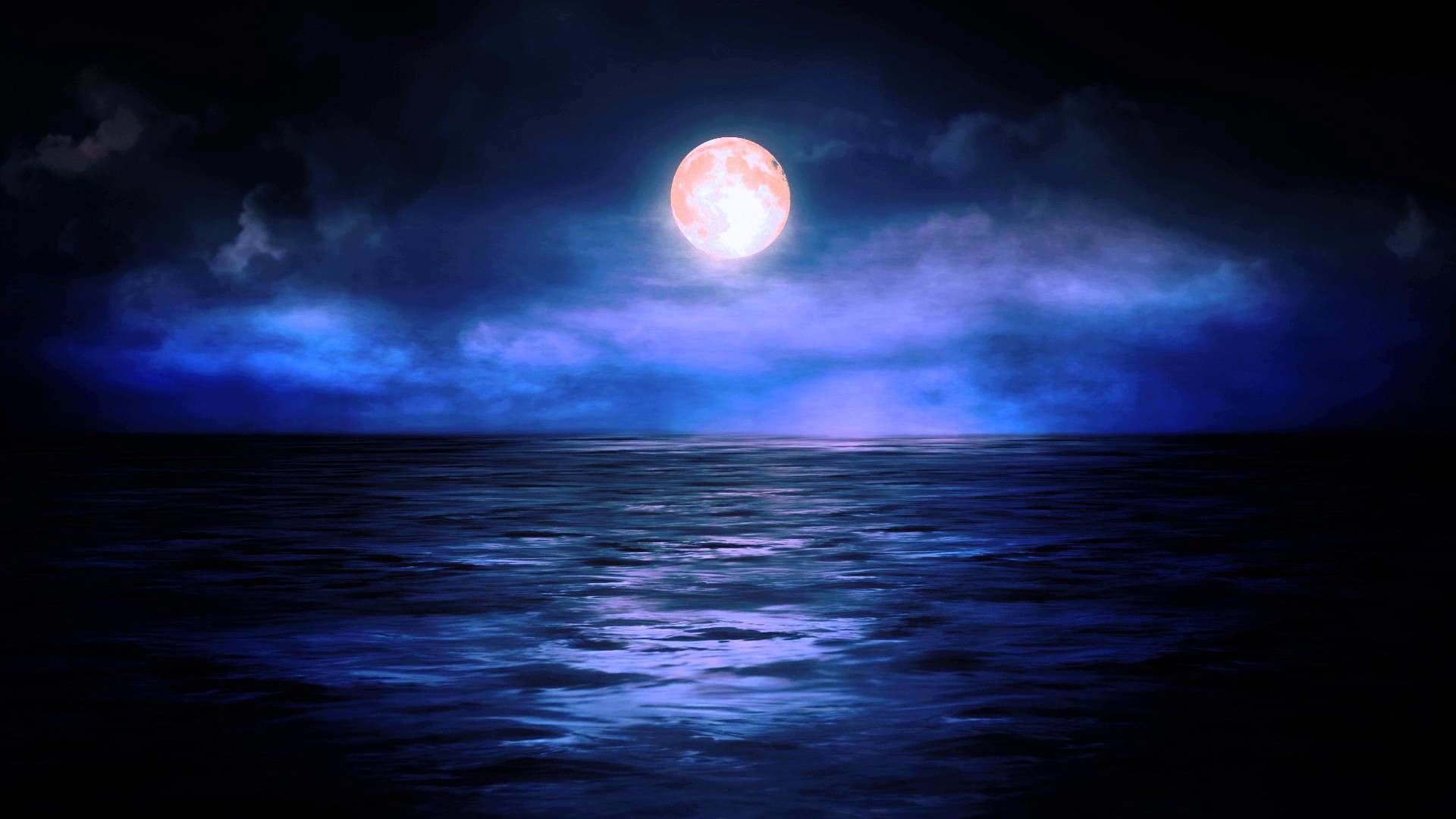 Moonlight Night Wallpaper