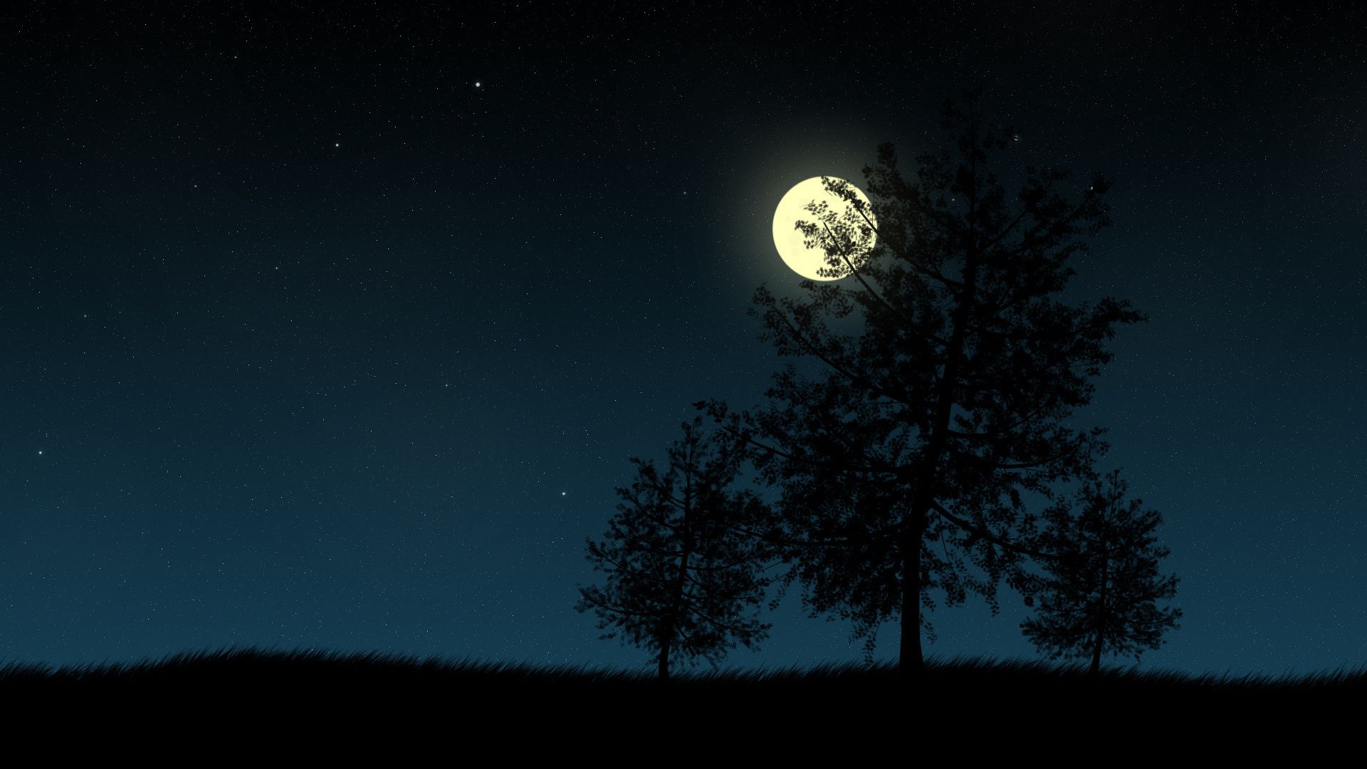 Free download Wallpaper night tree moon star silhouette picture