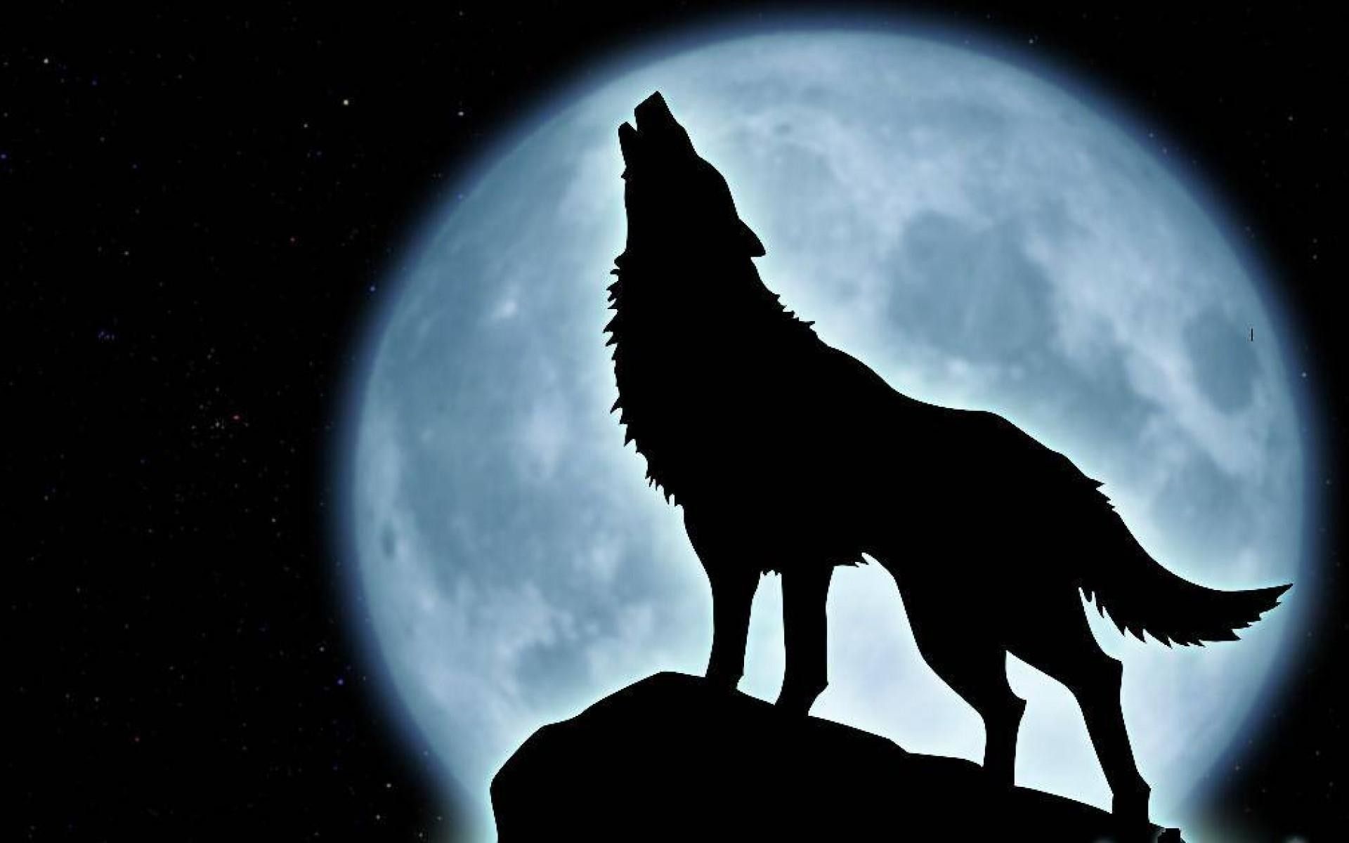 black wolf howling wallpaper hd