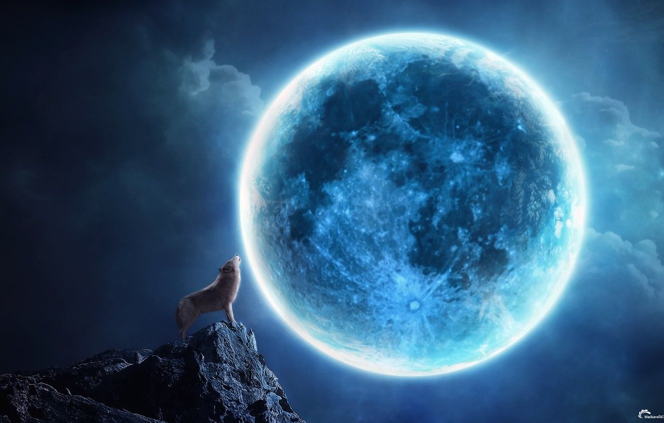 Wallpaper night, rock, collage, the moon, wolf, howl image