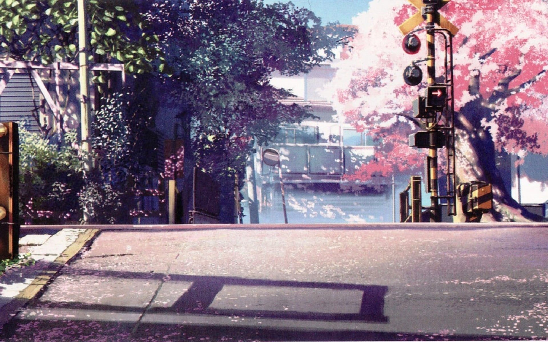 Pink leafed tree, anime, landscape, 5 Centimeters Per Second, urban HD wallpaper