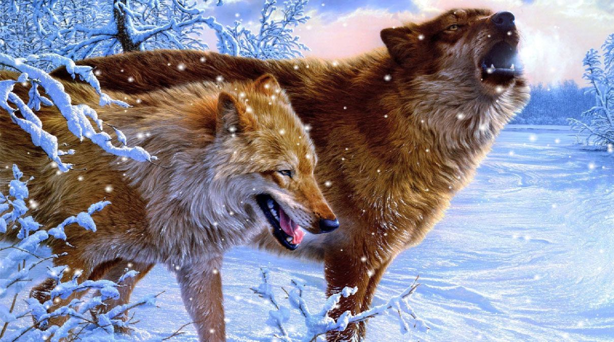 Howling Wolves Animated Wallpaper