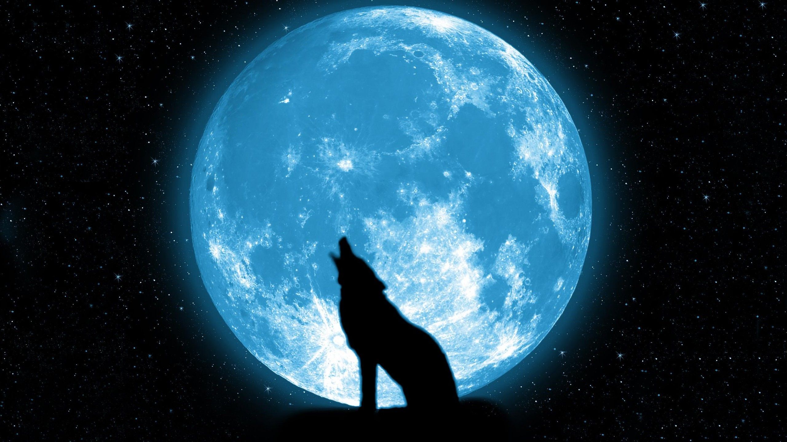 wolf howling on the moon Wallpaper HD / Desktop and Mobile