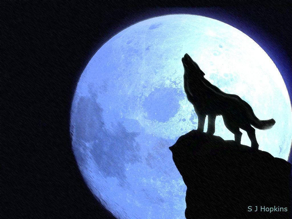 drawing of a wolf howling at the moon. HD Wallpaper Download