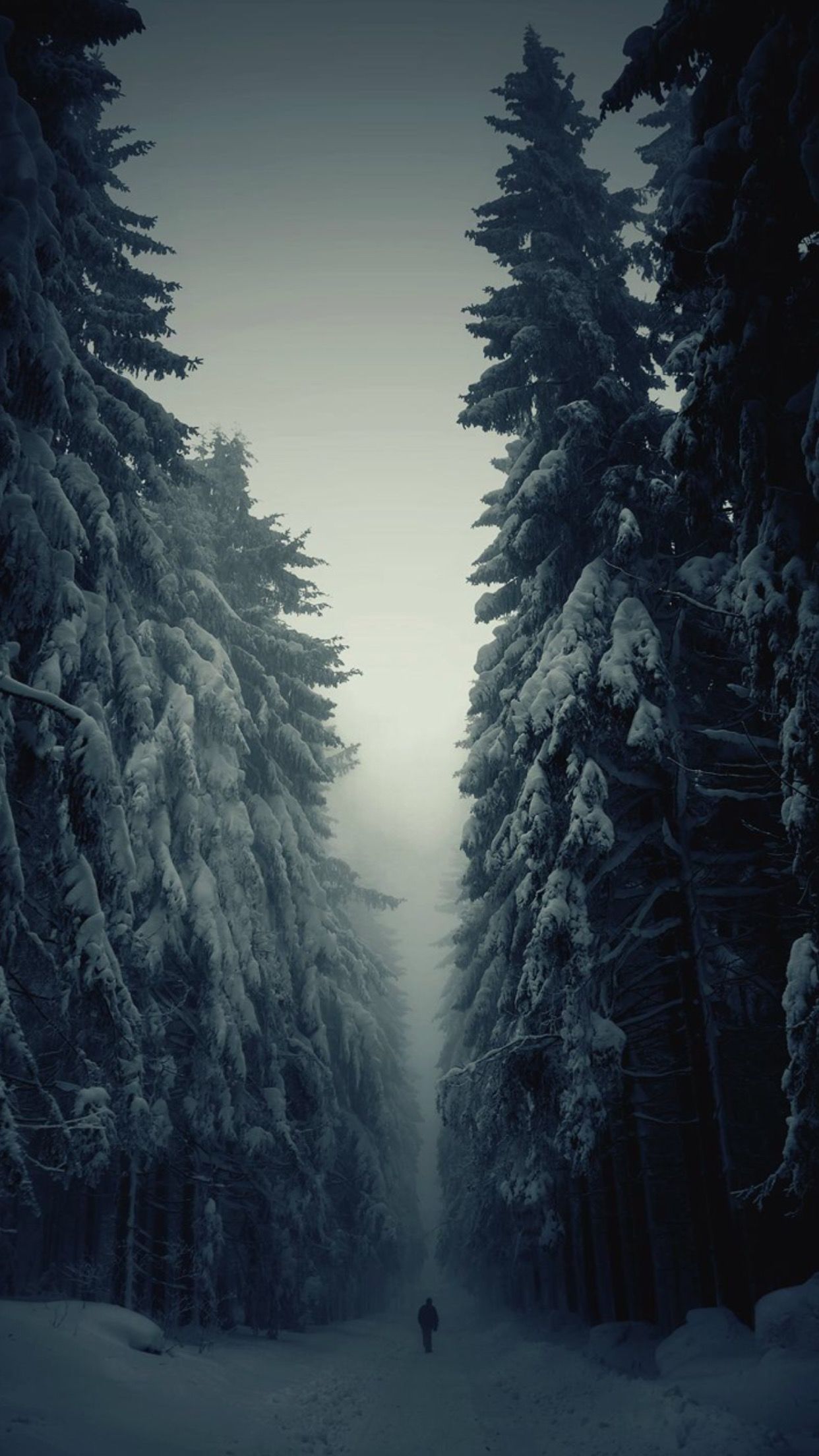 Awesome iPhone 6 & Wallpaper