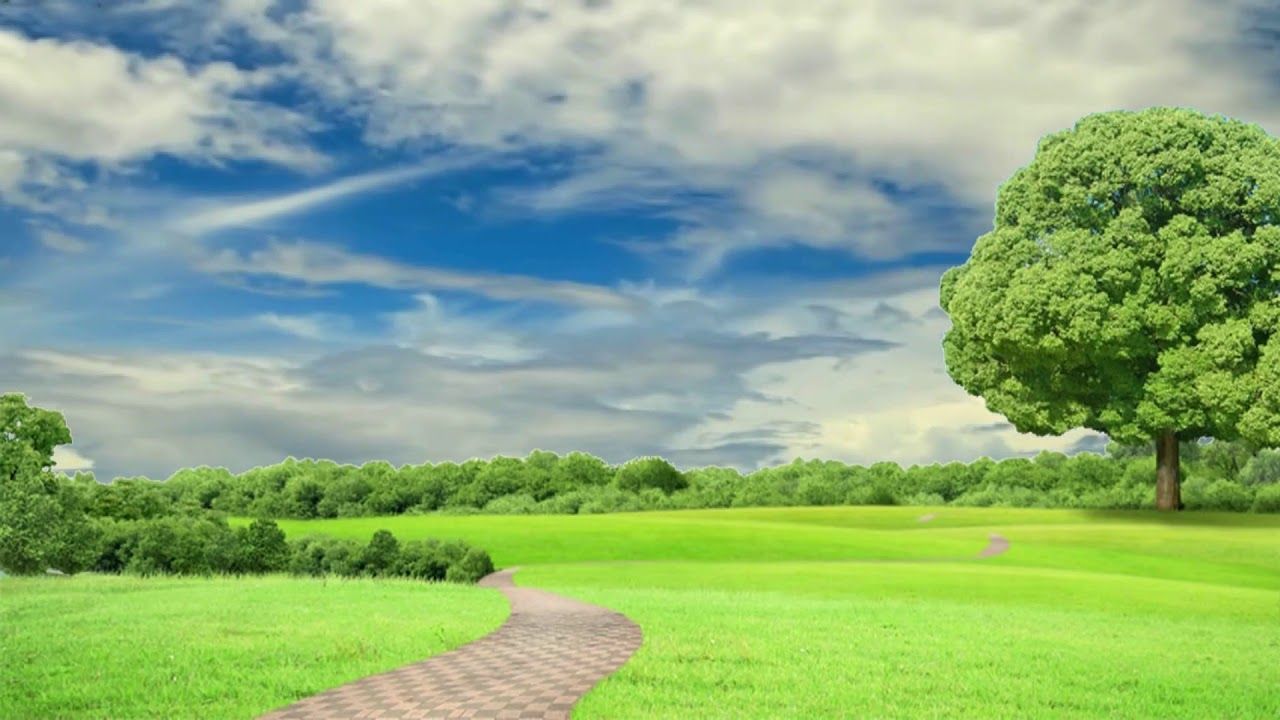 HD 1080p Nature Background Scenery Video, Royalty free Landscape