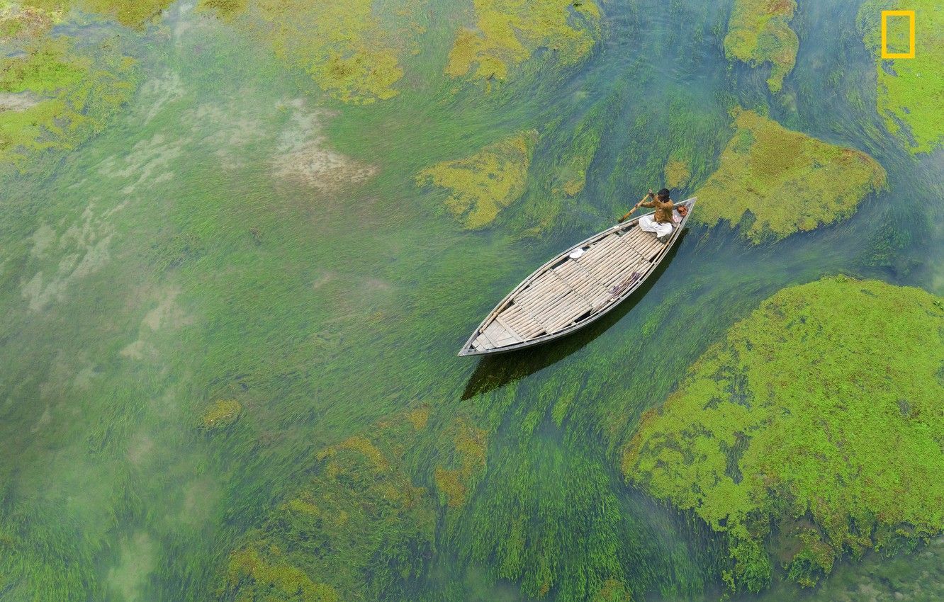 Photo Wallpaper Algae, River, The Boatman, Bangladesh