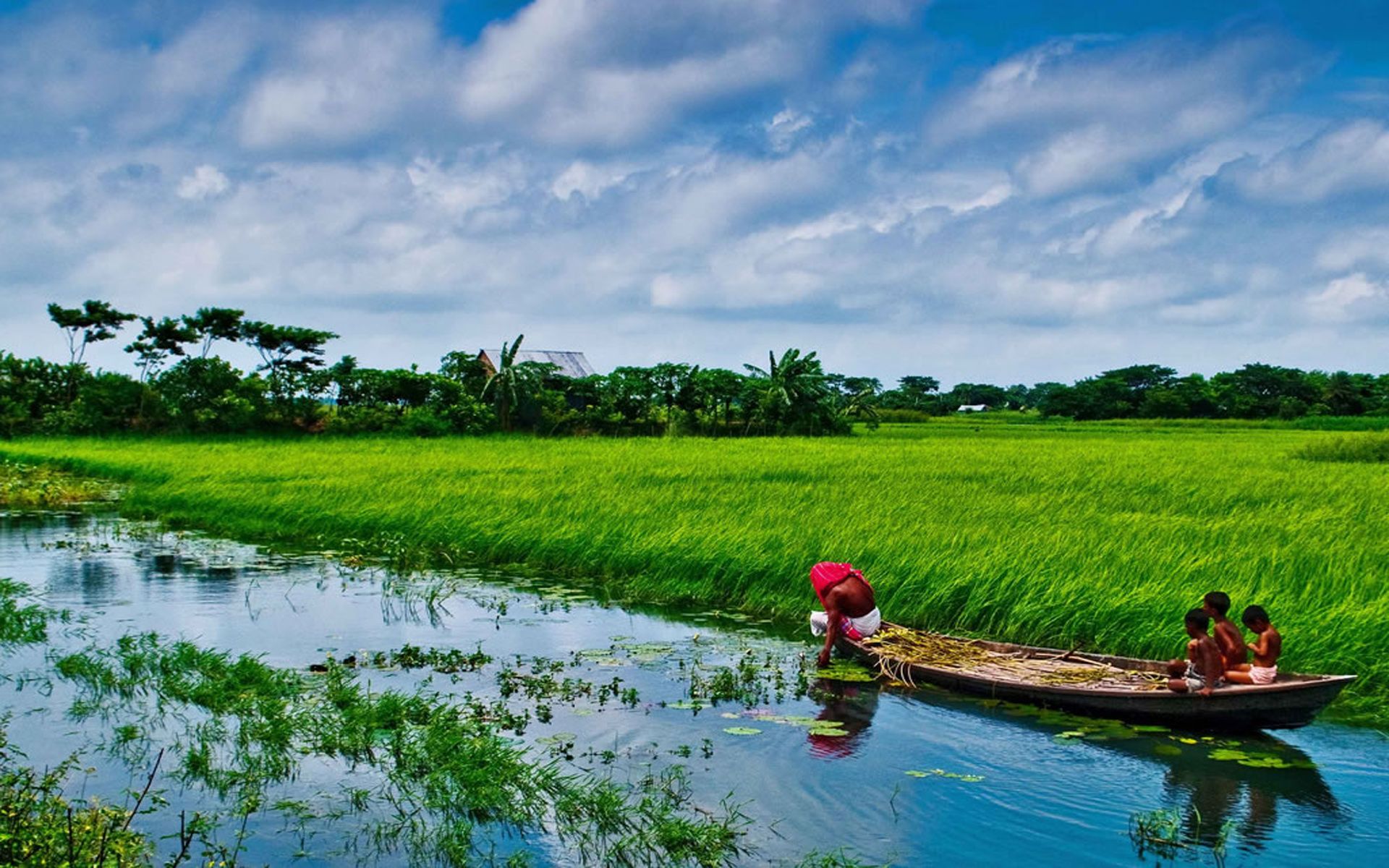 Bangladesh Sonargaon Rice Fields Beautiful Landscape Country