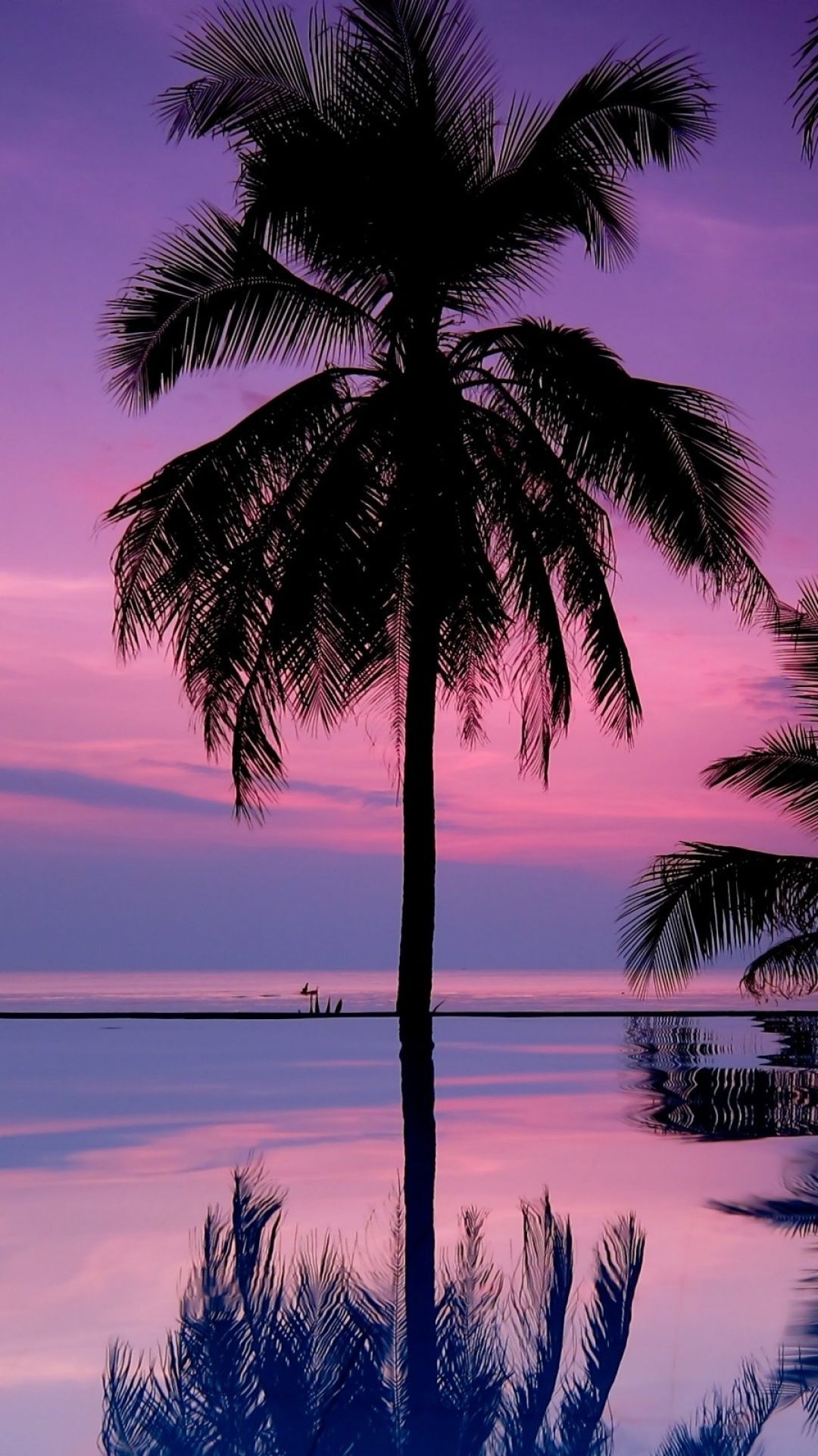 Download Wallpaper 1080x1920 palm trees, night, silhouettes Sony
