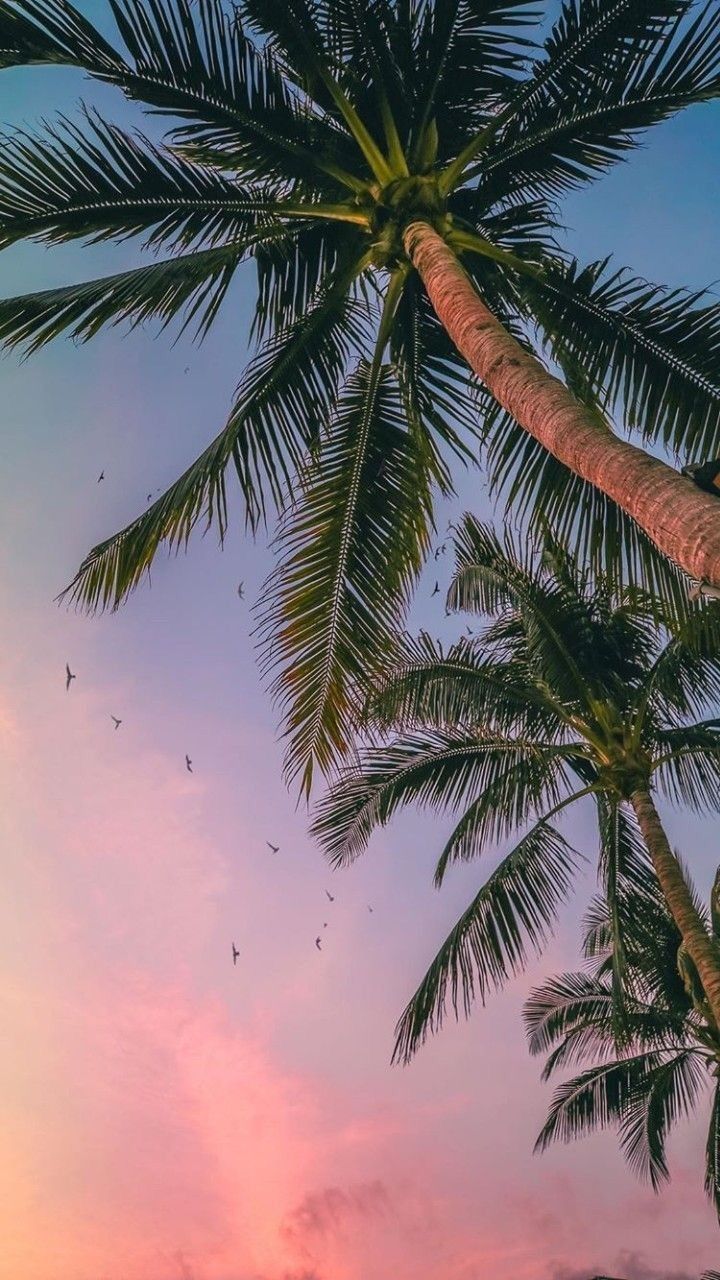 Mobile Wallpaper, Wallpaper For Your Phone, Pastel Trees