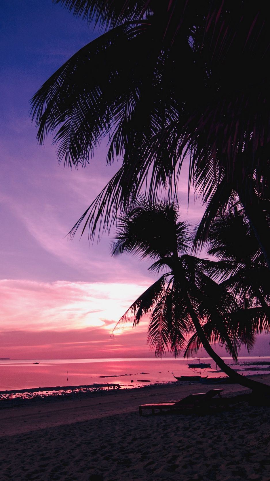 Wallpaper Palm Trees, Beach, Sunset, Tropics, Branches