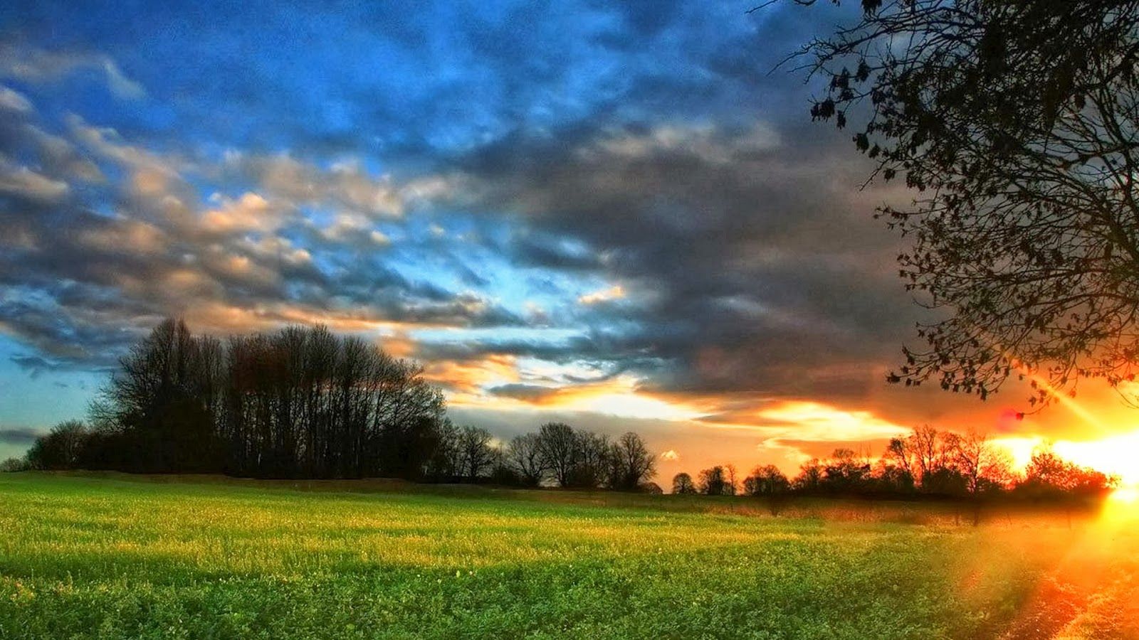 Free download Full HD Size Nature Wallpaper Downloads Full HD