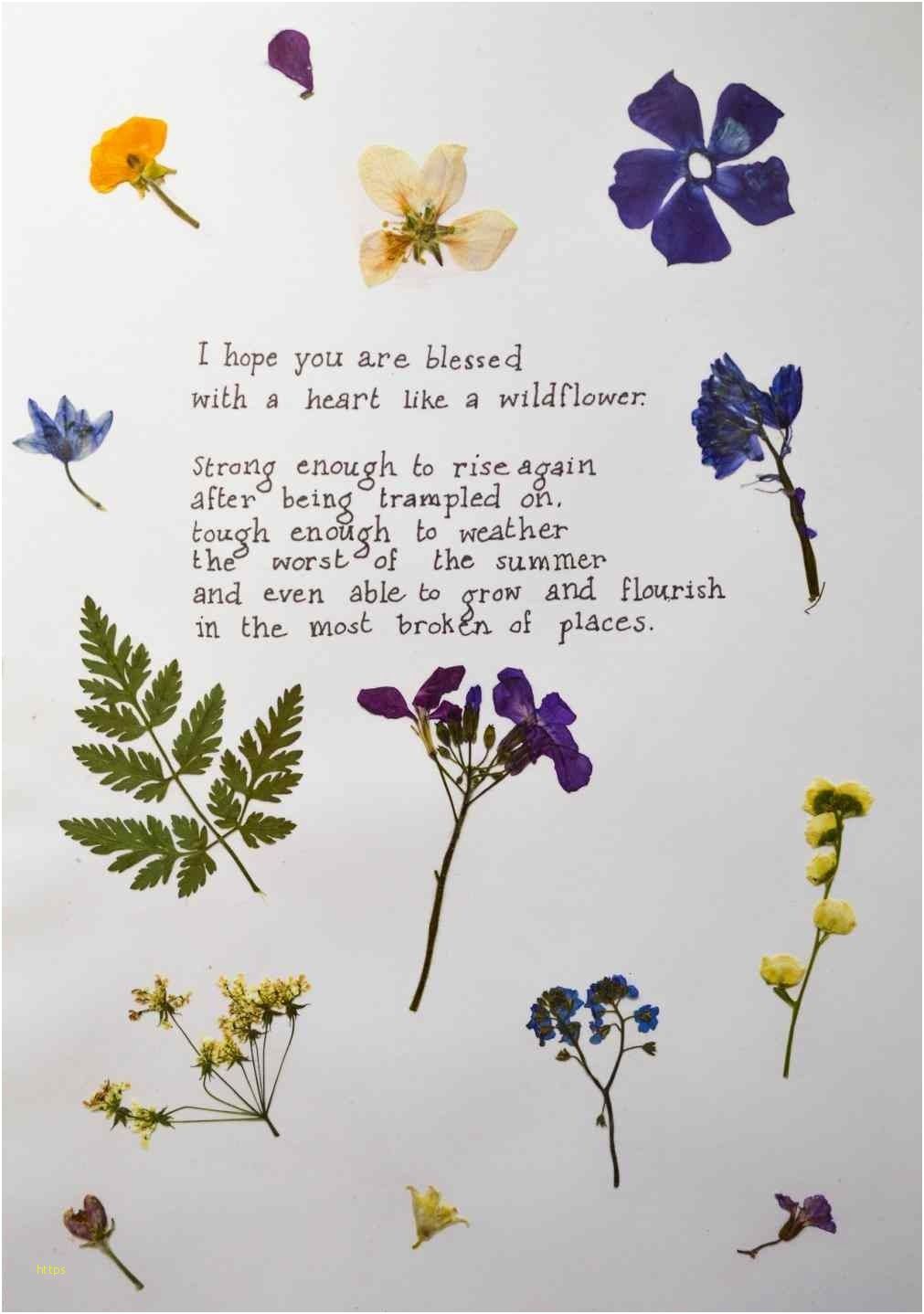 Vintage Rose Wallpaper Unique 88 Wallpaper Floral Tumblr