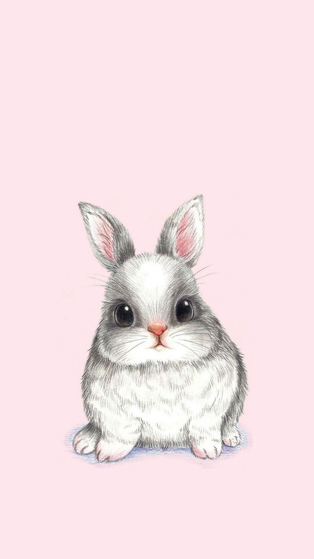 Cute Bunny Drawing Wallpaper