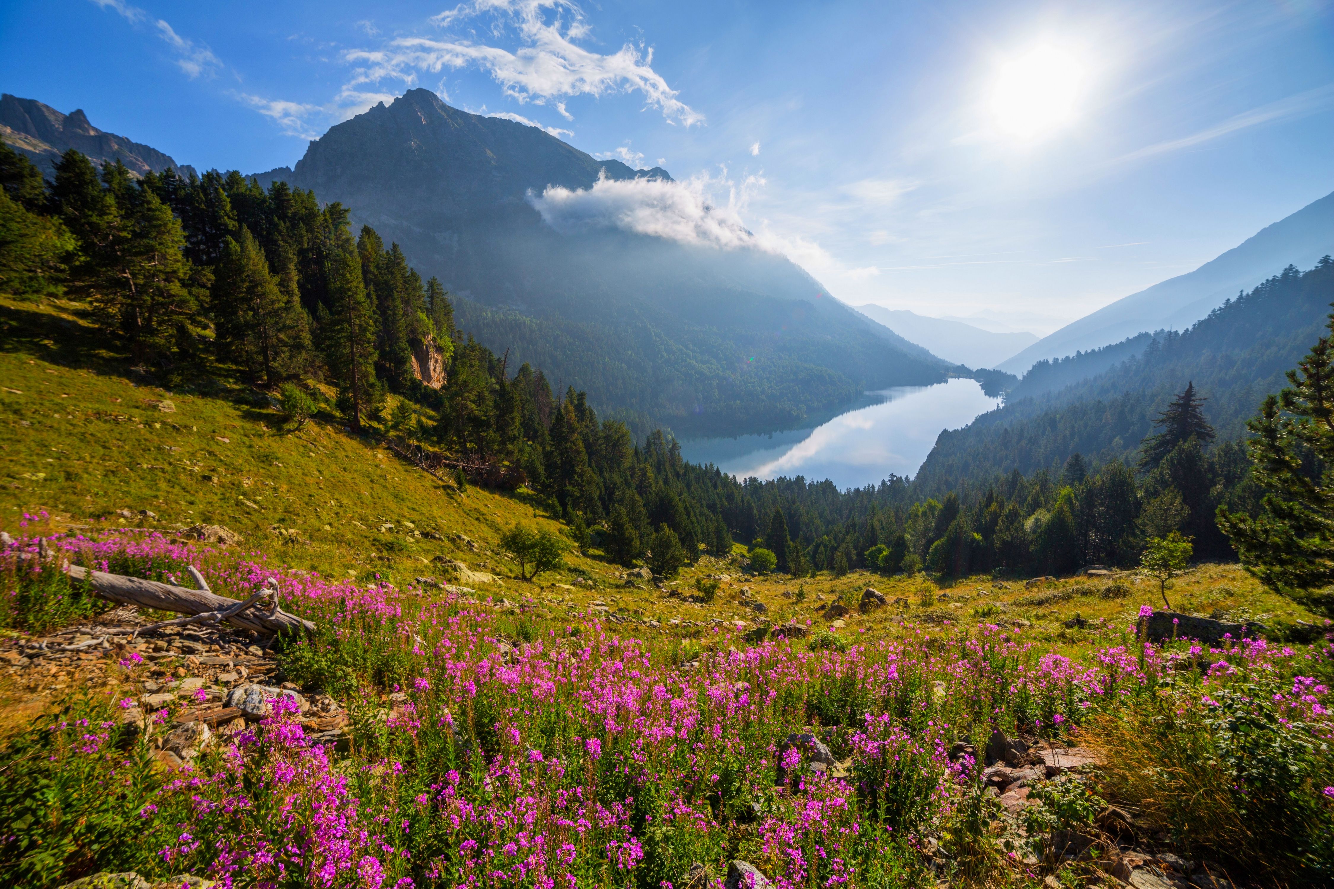 spring, flowers, grass, Sun, mountains, lake, forest, beautiful