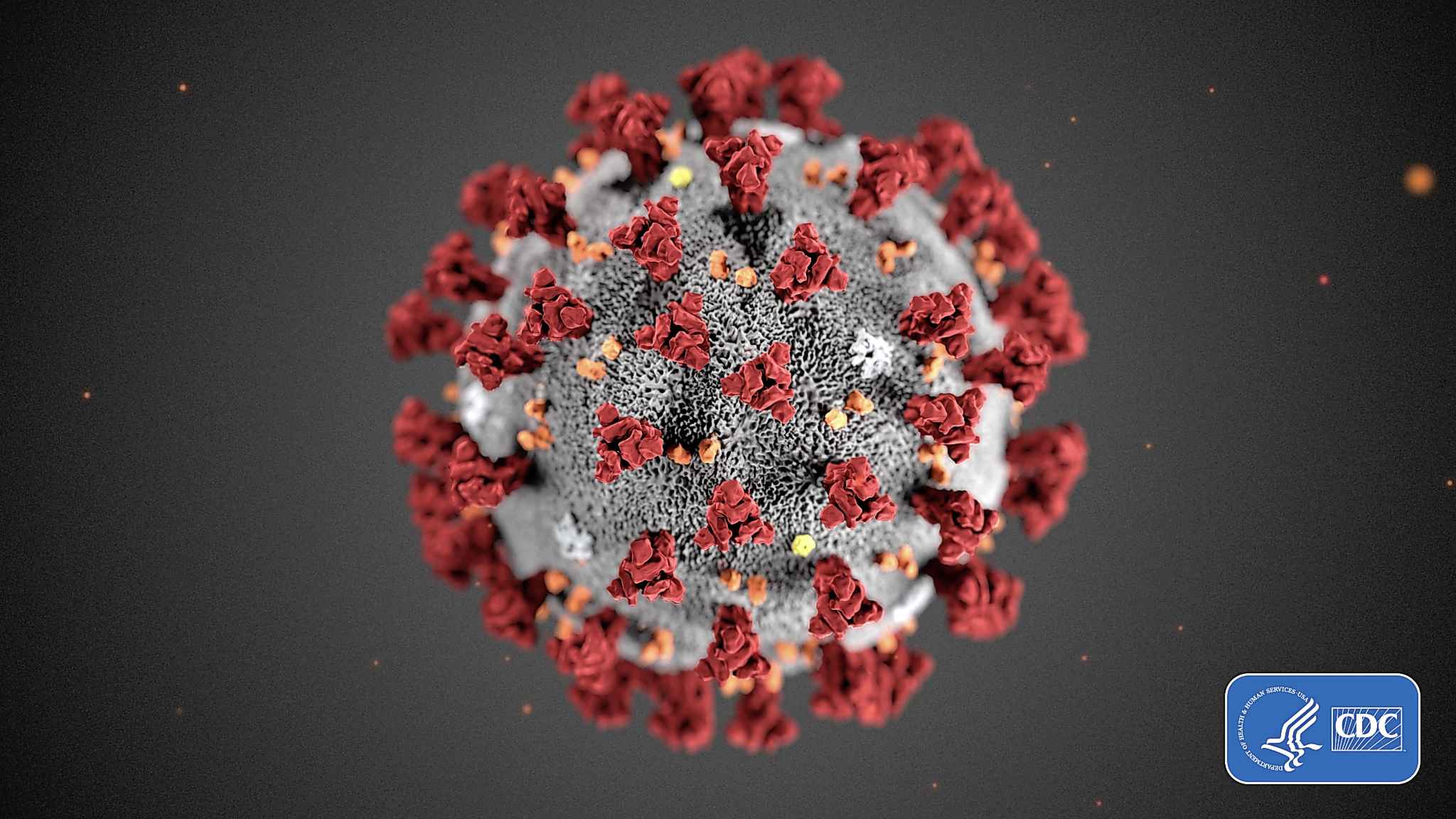 COVID 19 FAQ Free Press