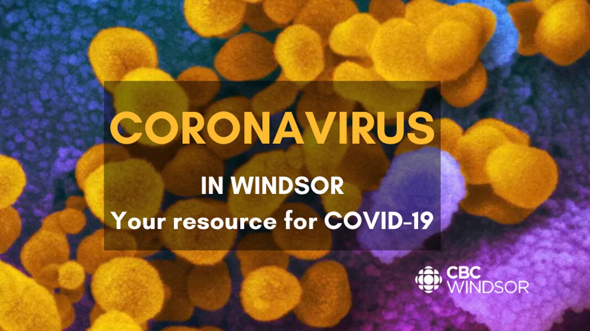 CBC Windsor News Special COVID 19 Digital Broadcast