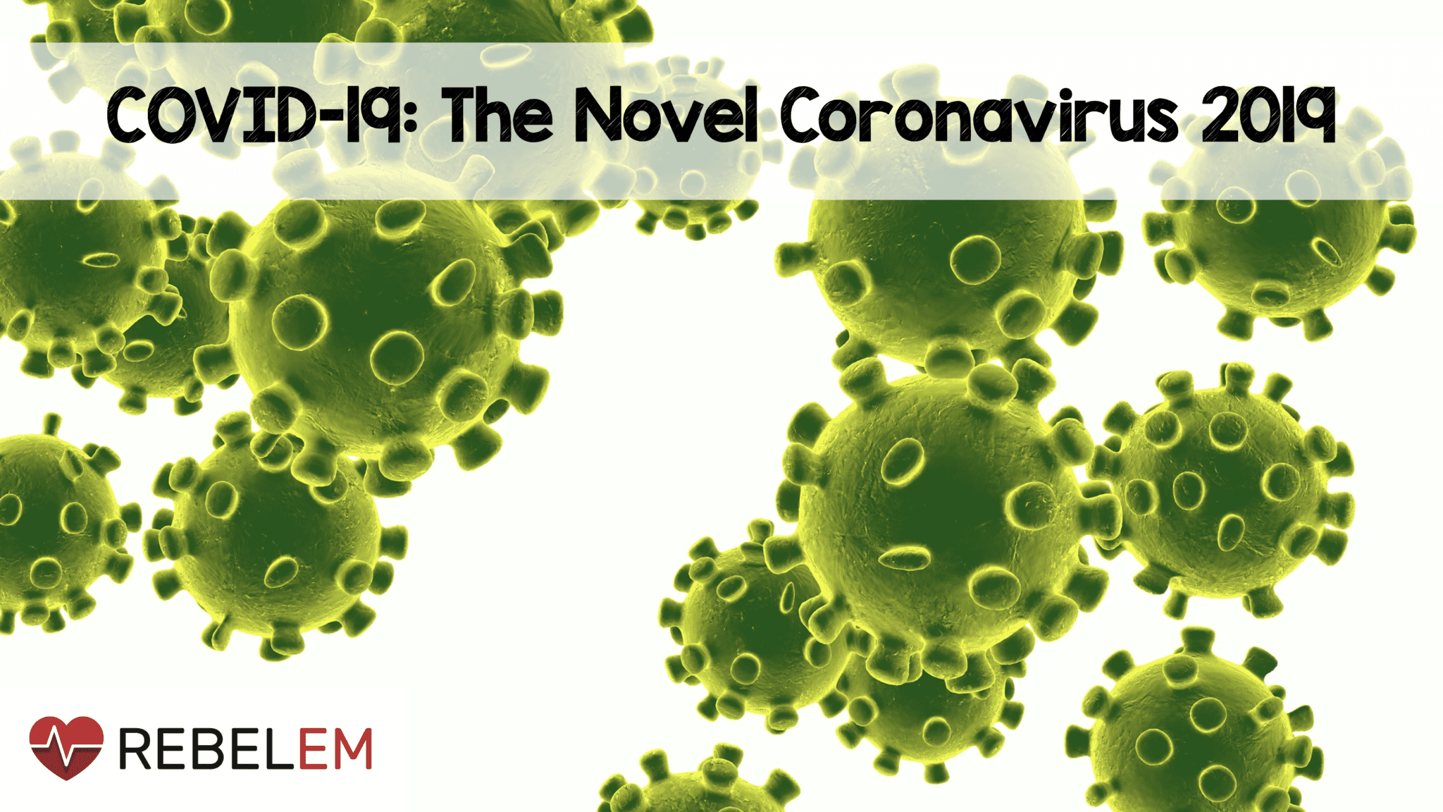 COVID 19: The Novel Coronavirus 2019 EM