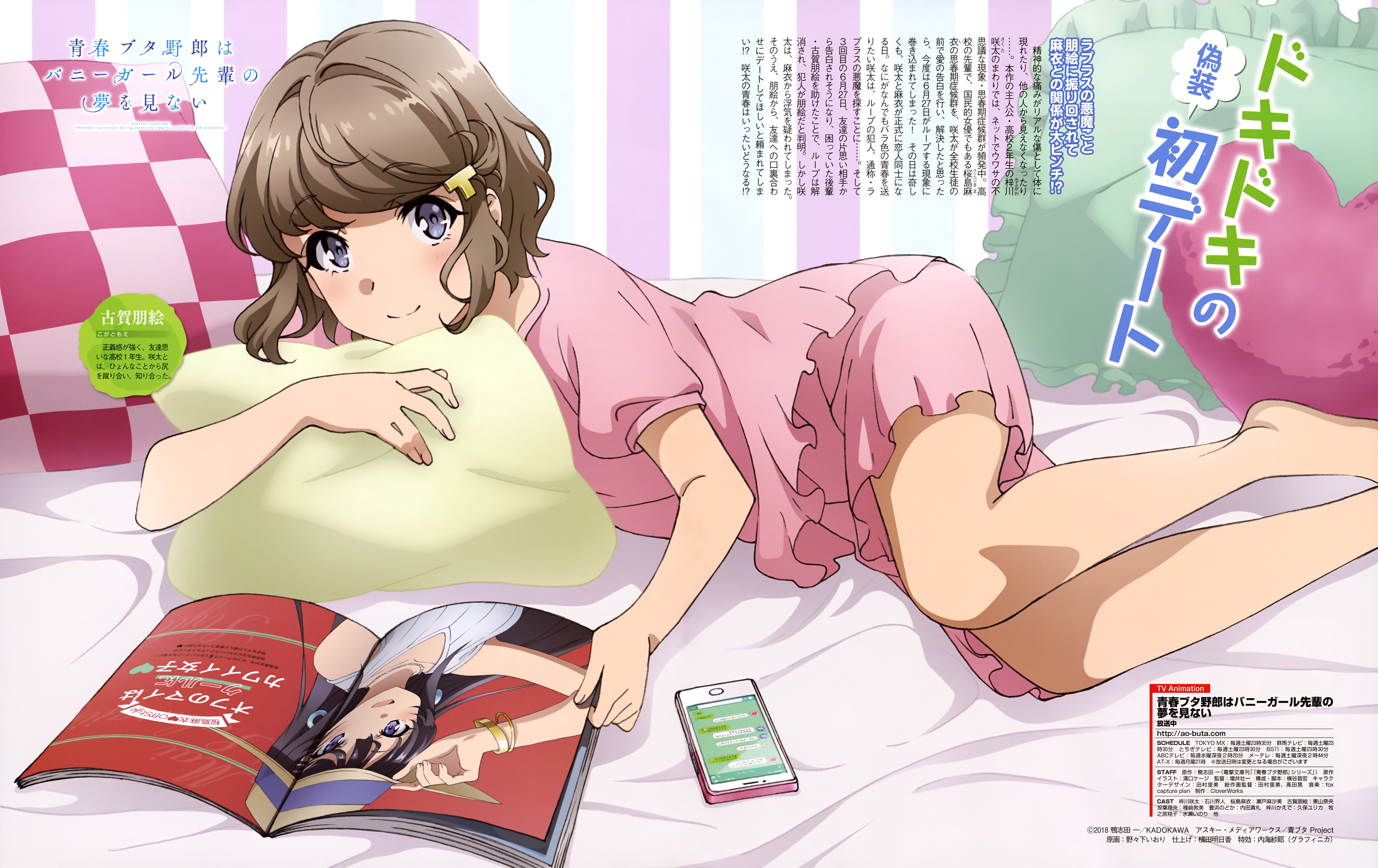 Koga Tomoe - Seishun Buta Yarou Series  page 2 of 3 - Zerochan Anime Image  Board