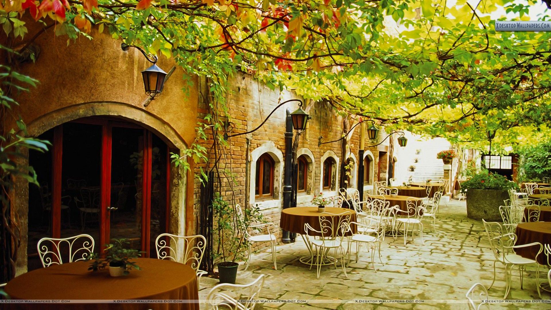 Dining Alfresco Venice Italy Wallpaper