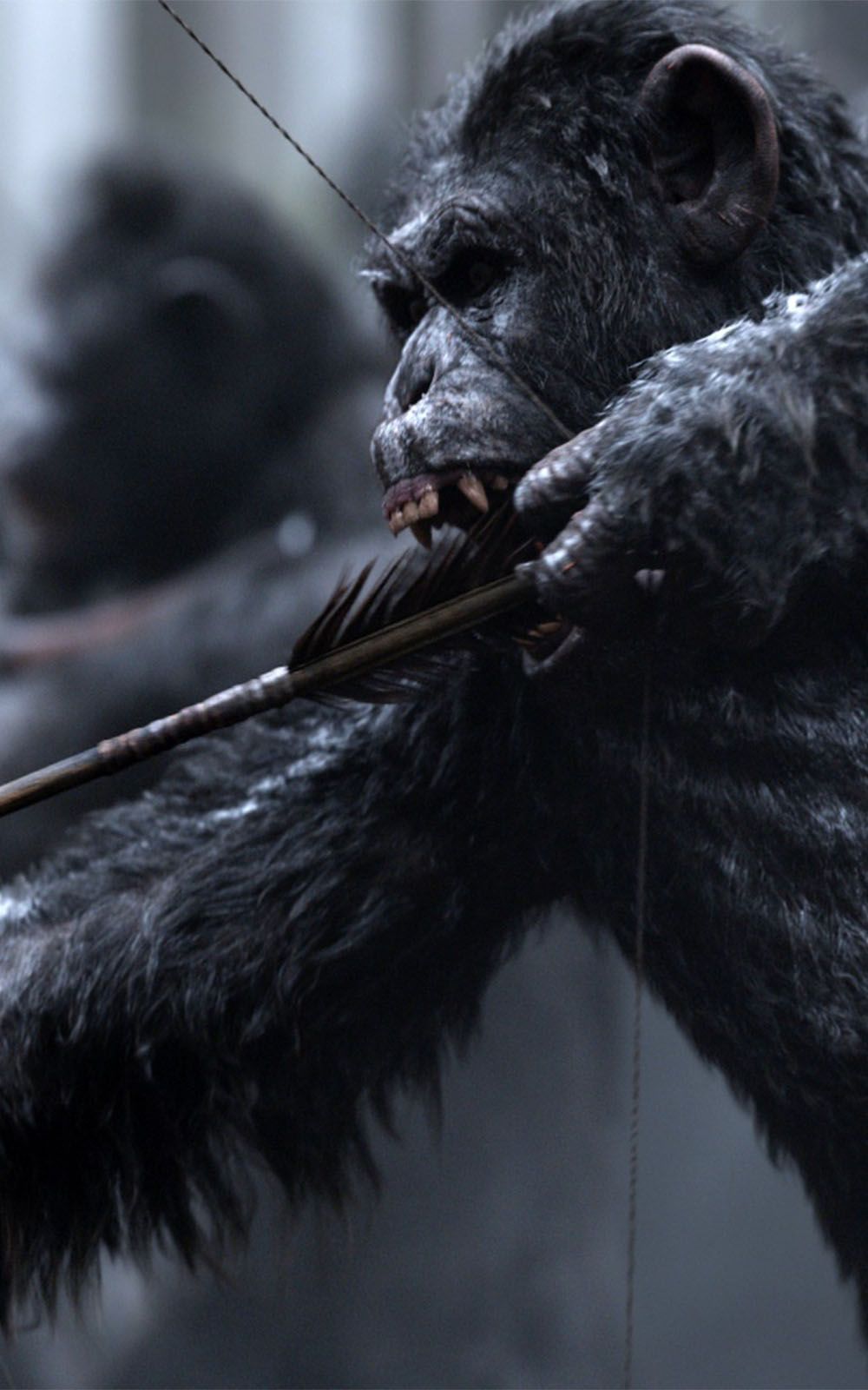 War For The Planet of The Apes 2017 Movie Free HD