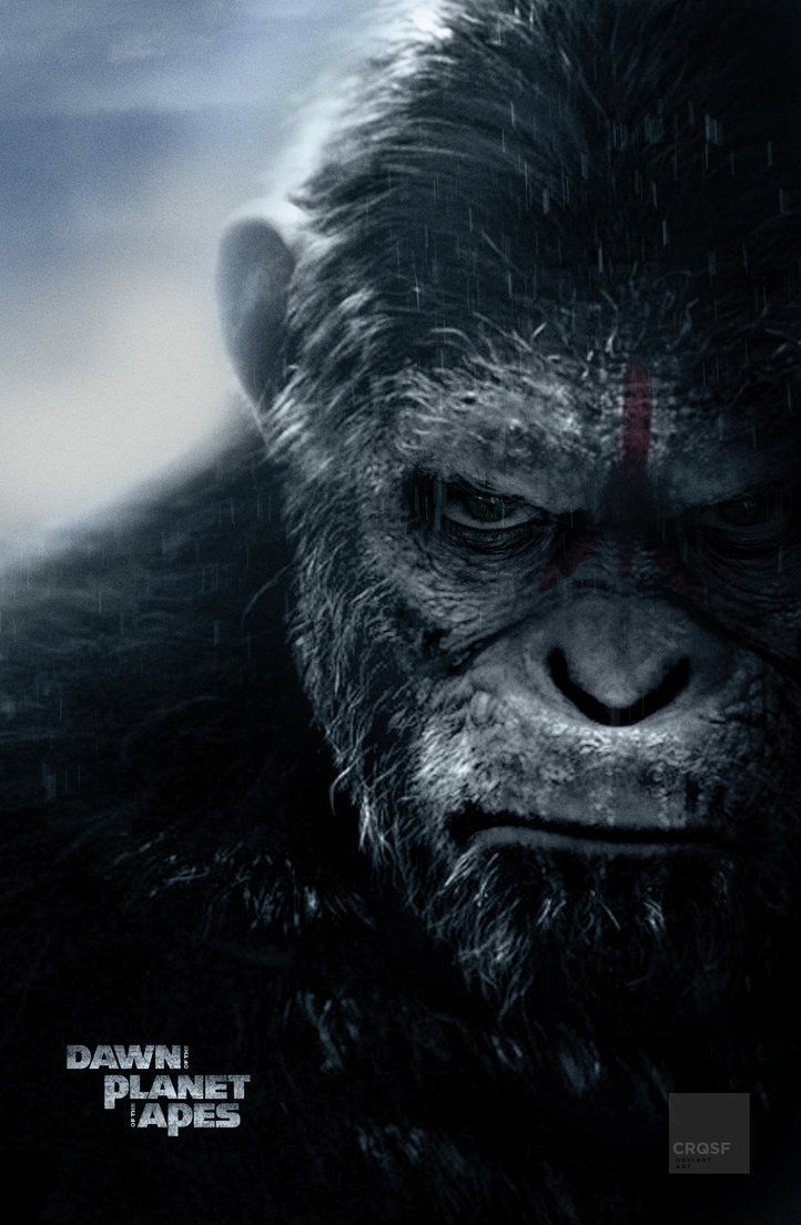 Dawn of The Planet of The Apes fan poster