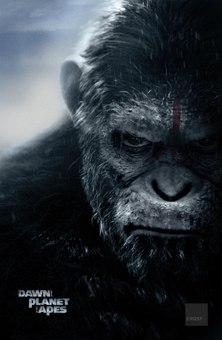 Dawn of The Planet of The Apes fan poster