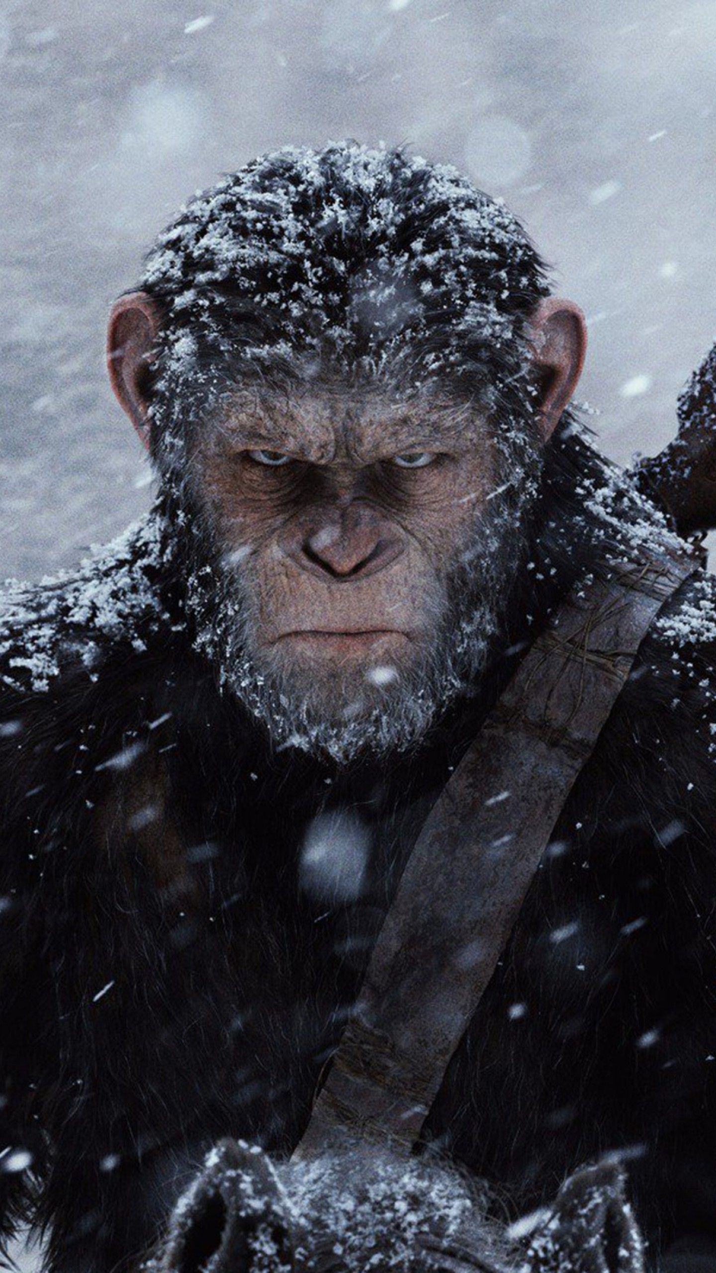 planet of the apes wallpaper 4k phone