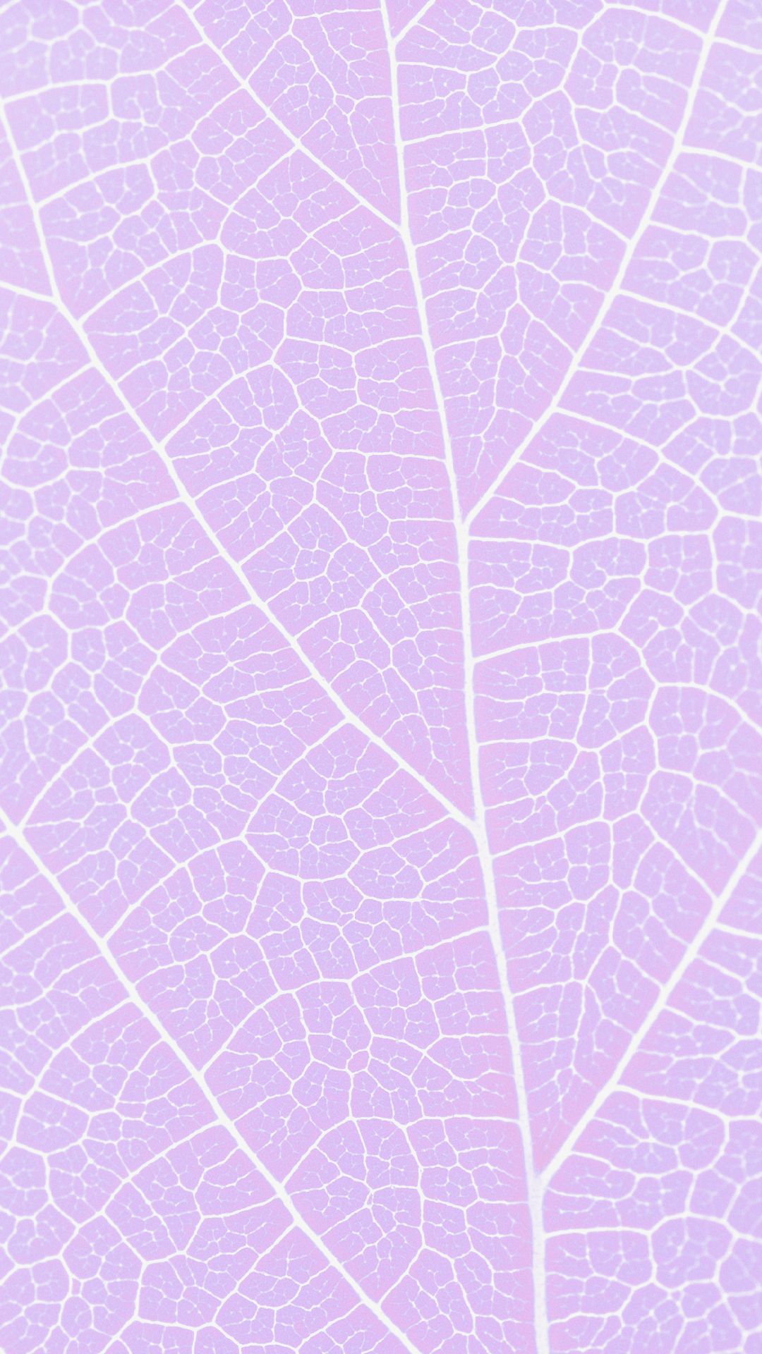 Pattern vein Purple. wallpaper.sc iPhone7Plus