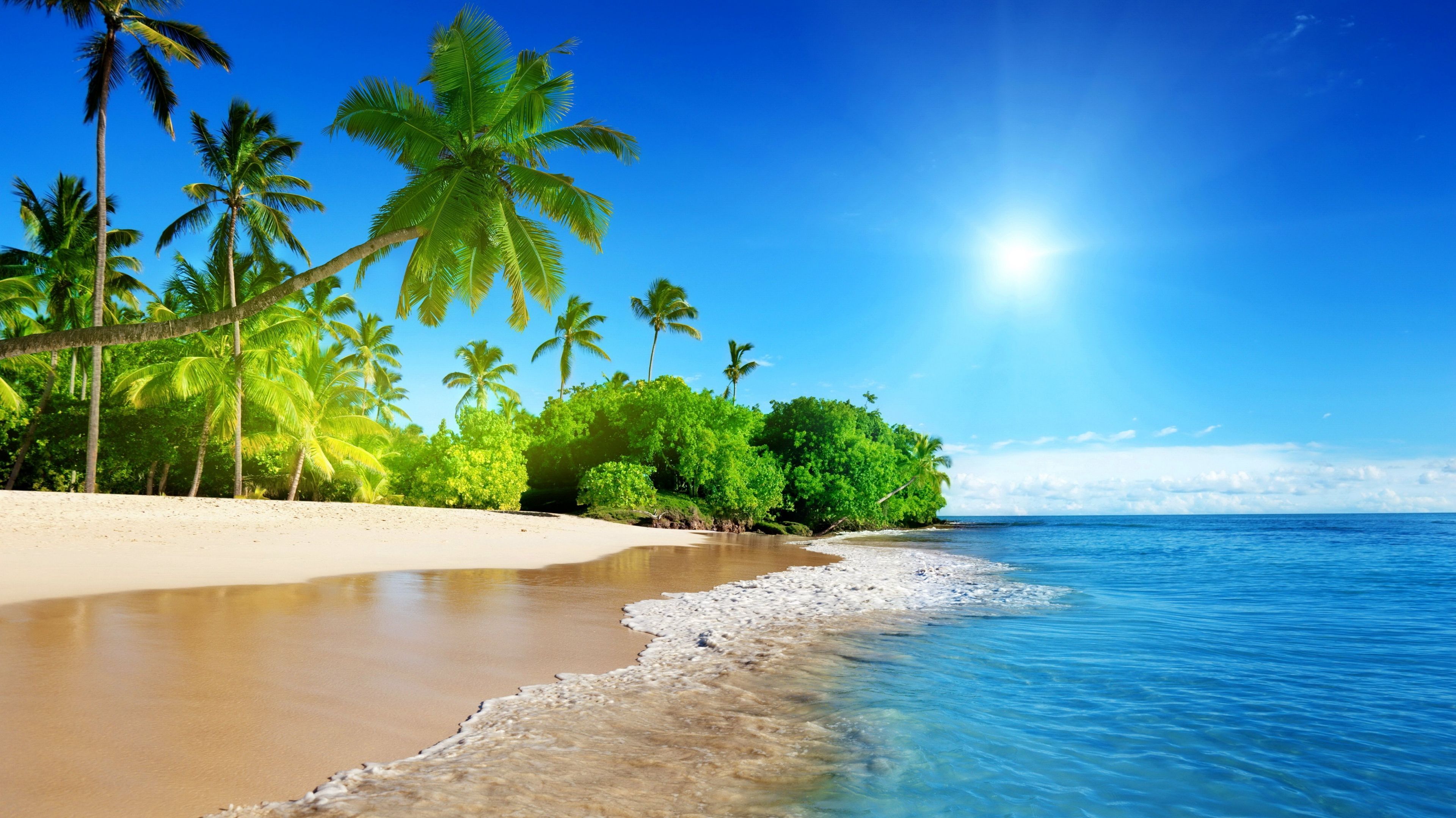 Free download Sunny Beach Wallpapers 1920x1179 for your Desktop Mobile   Tablet  Explore 67 Sunny Beach Wallpaper  Sunny Day Background Sunny  Wallpaper Always Sunny Wallpaper