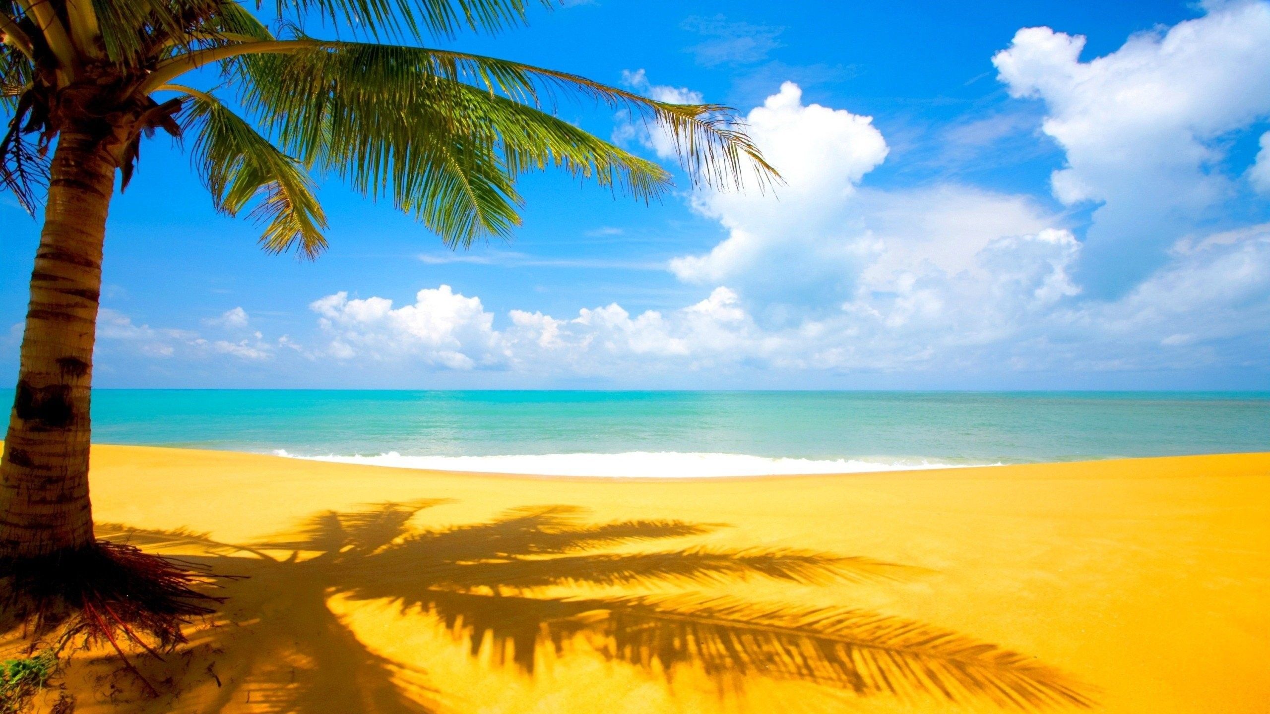 Sunny Day At The Beach Wallpaper & Background