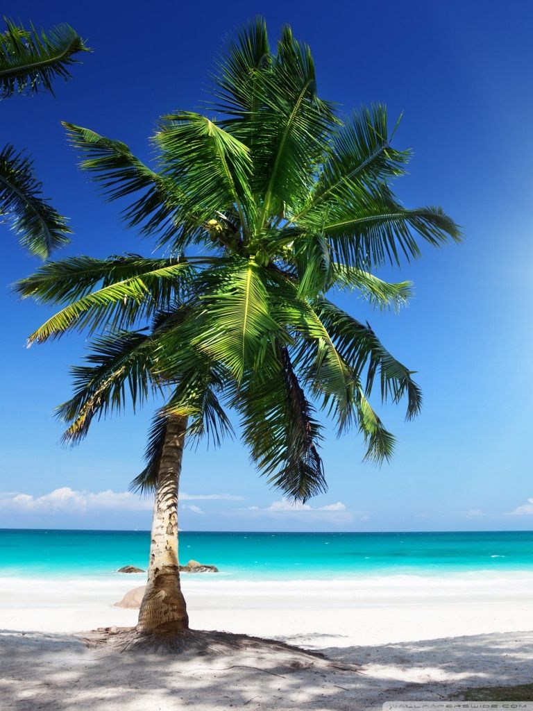 Sunny Beach Ultra HD Desktop Background Wallpaper for 4K UHD TV, Tablet